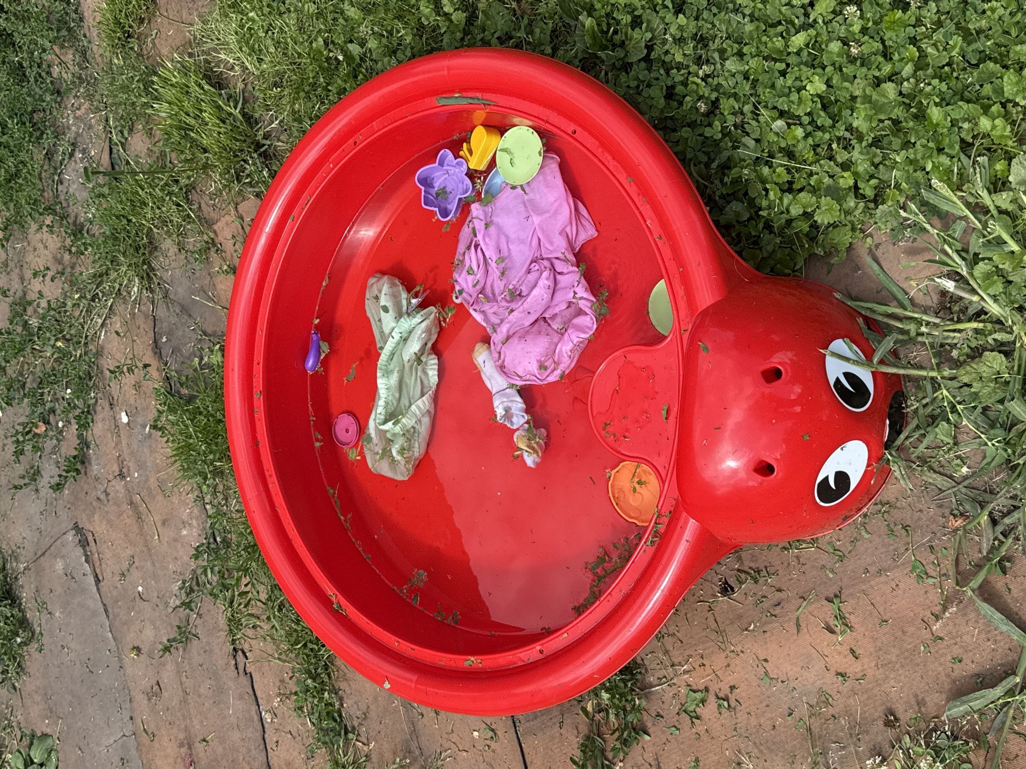 A red plastic sandbox, shaped like a ladybug, is filled with water and scattered with grass clippings and children's toys. Inside the sandbox are a pink shirt, a light green fabric item, a yellow watering can, a purple flower-shaped mold, and several small plastic cups and lids in orange and green. The sandbox is situated outdoors on a surface composed of both cracked concrete or paving stones and lush green grass. The surrounding area is also covered in grass and some scattered debris. The overall scene suggests a child's play area that has been left unattended, with elements of nature mixing with the man-made objects. The image appears to be taken from a high angle, looking down into the sandbox. The location is identified as Bolshie Ozery, Russia.