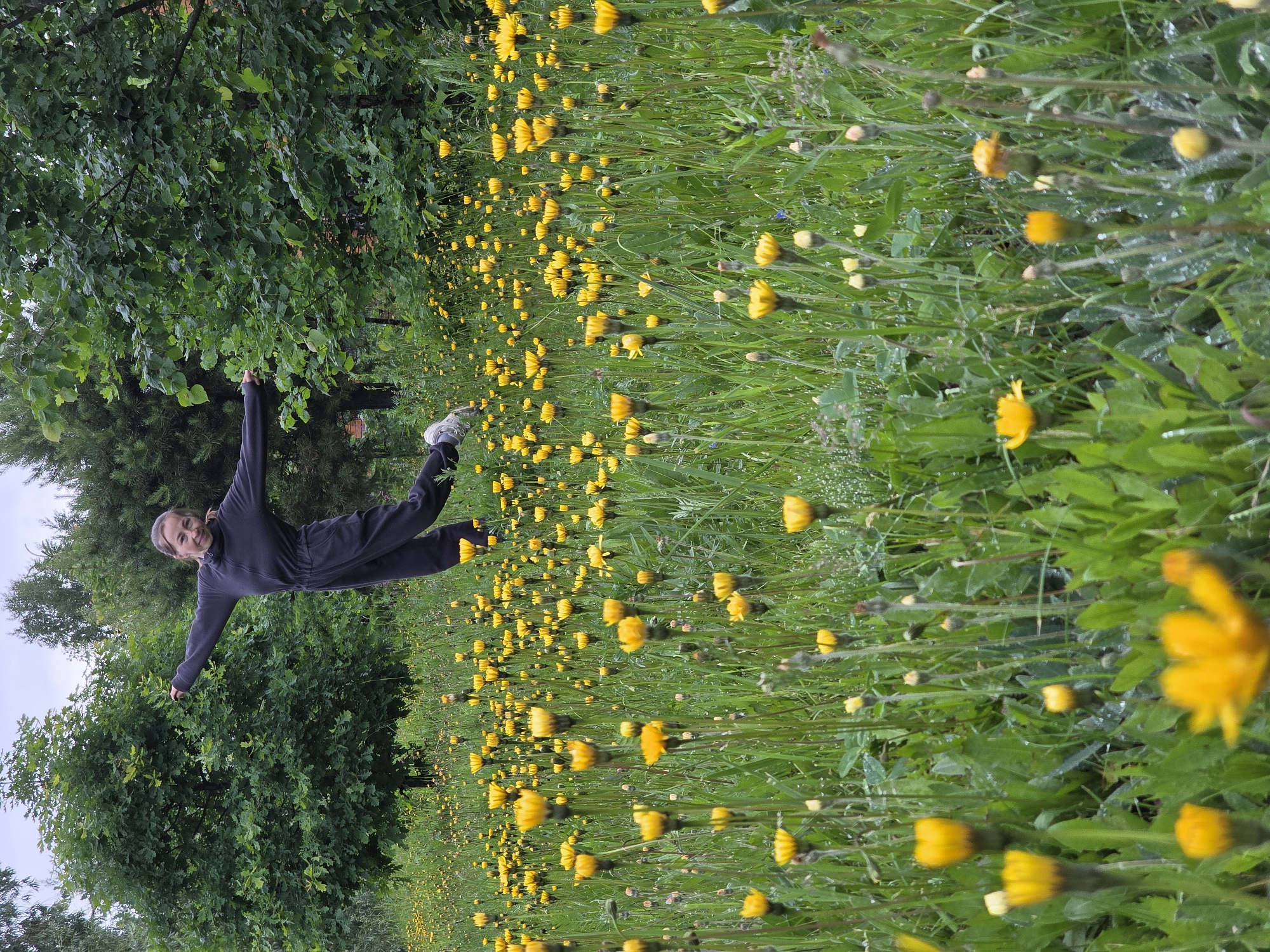 The image depicts an adult female engaged in a mid-air jump within a field of yellow flowers in the city of Chaikovsky, Russia. The individual, possessing light-colored hair, is clad in a dark grey, long-sleeved, full-body fleece garment and light-colored athletic footwear. Her arms are extended horizontally, and her legs are positioned as if suspended during a jump, with a visible bend in the left knee. She is looking directly towards the camera with a smiling facial expression. The ground is covered by dense green grass interspersed with numerous tall-stemmed yellow composite flowers, many of which appear partially closed. Visible water droplets are present on the grass blades and flower stems, indicating moisture. The background consists of various mature green trees, including a prominent oak tree and conifers. The sky is uniformly overcast.