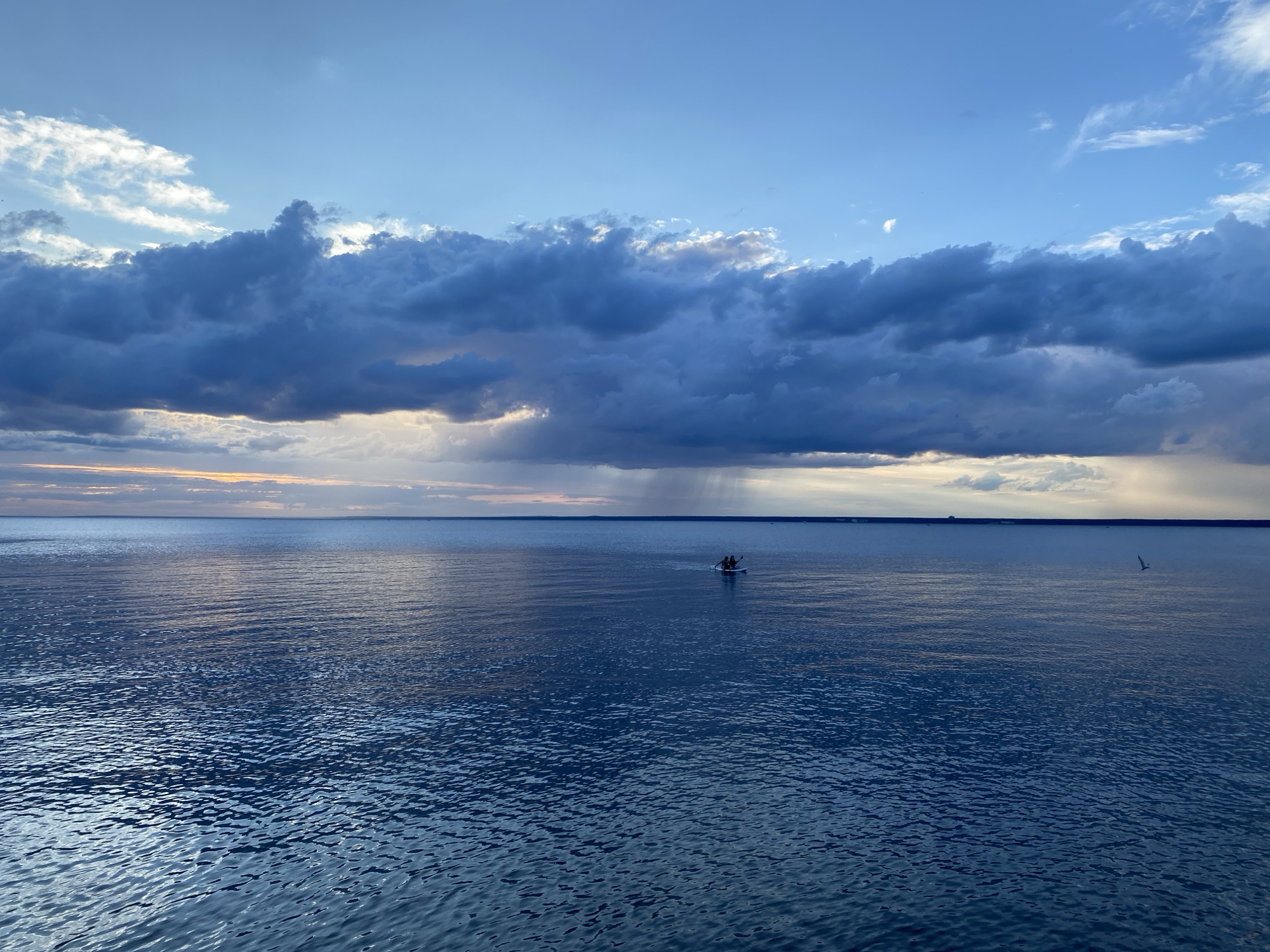 The image depicts a wide expanse of calm, dark blue water under a dramatic sky filled with large, dark blue clouds. Rays of light break through the clouds in several places, illuminating the water. In the distance, a small boat with two people paddling can be seen on the water. A single bird is flying in the upper right portion of the frame. The horizon line is low and indistinct, suggesting a vast open space. The overall mood is serene yet dramatic, with the contrasting elements of the dark clouds and the illuminated water. The scene is characteristic of the Gulf of Finland near Sestroretsk, Russia, especially during a time of unsettled weather.