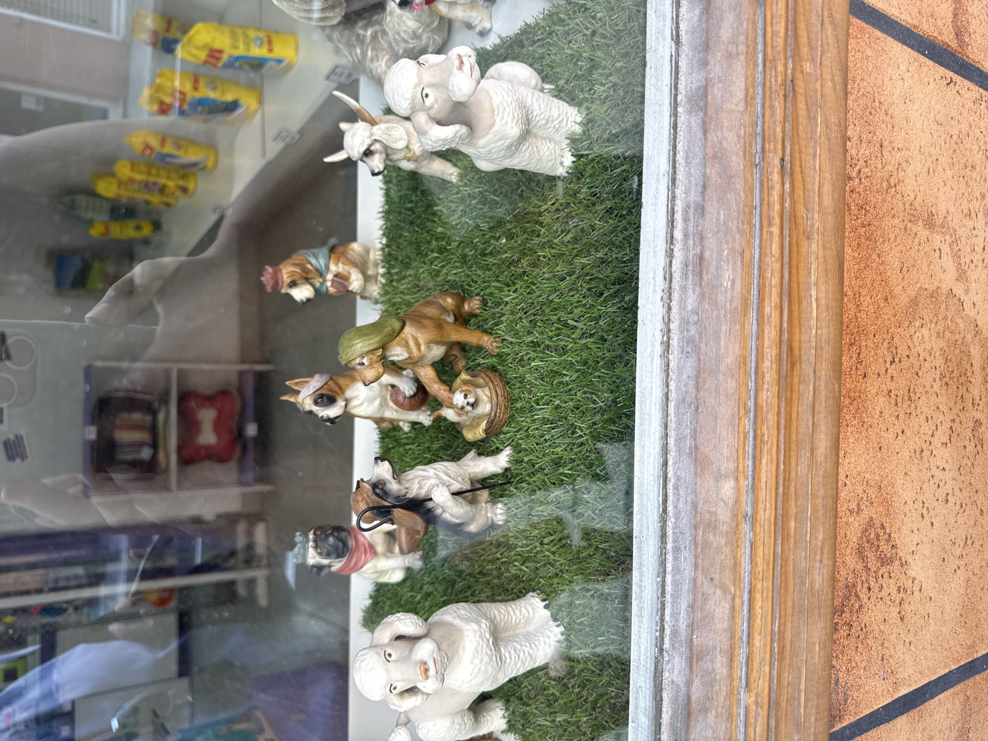The image presents a storefront window display, viewed from the outside, showcasing a collection of dog figurines on artificial green grass. The photo is rotated 90 degrees clockwise.
In the display, various ceramic or resin dog figurines are arranged. Starting from what would be the bottom if the image were correctly oriented, there are two large white poodle figurines, one standing and one seated. Above them, a pug figurine with a red bandana holds a leash connected to a smaller, white and brown terrier-like dog. Further up, a brown bulldog-like figurine is depicted wearing a blue vest and a hat. Another brown dog figurine, donning a green cap, looks down at a tiny dog figurine nestled in a basket. Near the top of the display, two more white poodle-like figurines are visible, one standing and another appearing to be mid-leap.
The right side of the image features a weathered, light-colored wooden window frame, adjacent to a warm, earthy-toned tiled ground or sidewalk.
Reflections on the window glass reveal elements from both the store's interior and the external environment. Inside the store, shelves are visible, displaying various products, including several bright yellow rectangular bags that resemble dog food or treats. Some indistinct text is visible on these bags, but it is unreadable due to reflection and blur. A blurred reflection of what appears to be a human hand or arm can also be seen on the glass.
The scene suggests a pet shop or a gift store featuring pet-related items. The presence of reflections implies daylight hours.