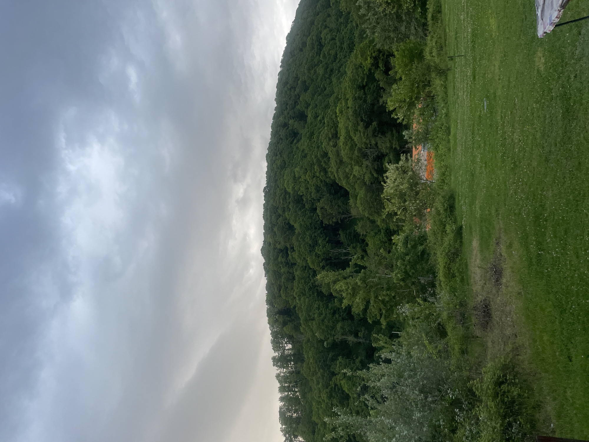 The image shows a landscape with a forested hill on the right, a grassy field, and an overcast sky on the left. The forest is dense with green trees. The field is green with a few visible trails of disturbed earth. The sky is predominantly grey with clouds. The location, Baranovka, Russia, is provided, but there are no specifics visible in the image to confirm this. There are no people visible. A structure with an orange roof is partially visible behind the trees in the middle-right.