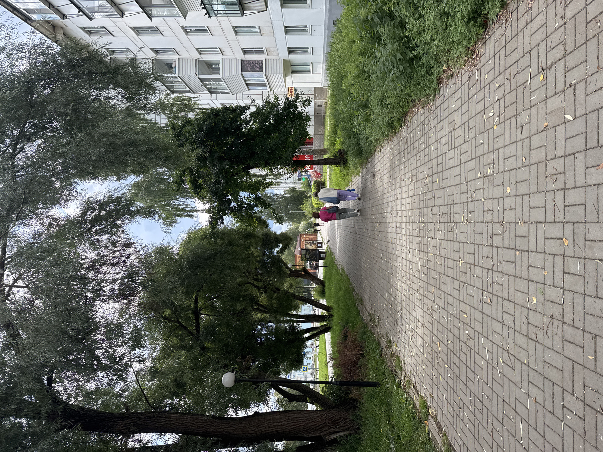 The image depicts a paved pedestrian walkway in Chaikovsky, Russia, lined by trees and a multi-story residential building. Two women, one wearing a pink top and the other a white top, walk away from the camera down the path. The walkway is paved with rectangular grey bricks laid in a herringbone pattern and has scattered dry leaves. To the left of the walkway are grassy areas with trees, and a lamppost with a round globe is visible. To the right, a white apartment building with balconies and numerous windows dominates the scene. The building appears to be made of concrete panels. Lush green vegetation grows along the base of the building on the right side of the image. In the background, across the street, other buildings and a yellow traffic sign can be observed, suggesting an urban or suburban environment. The sky is visible through the foliage of the trees, indicating an overcast or partly cloudy day.
