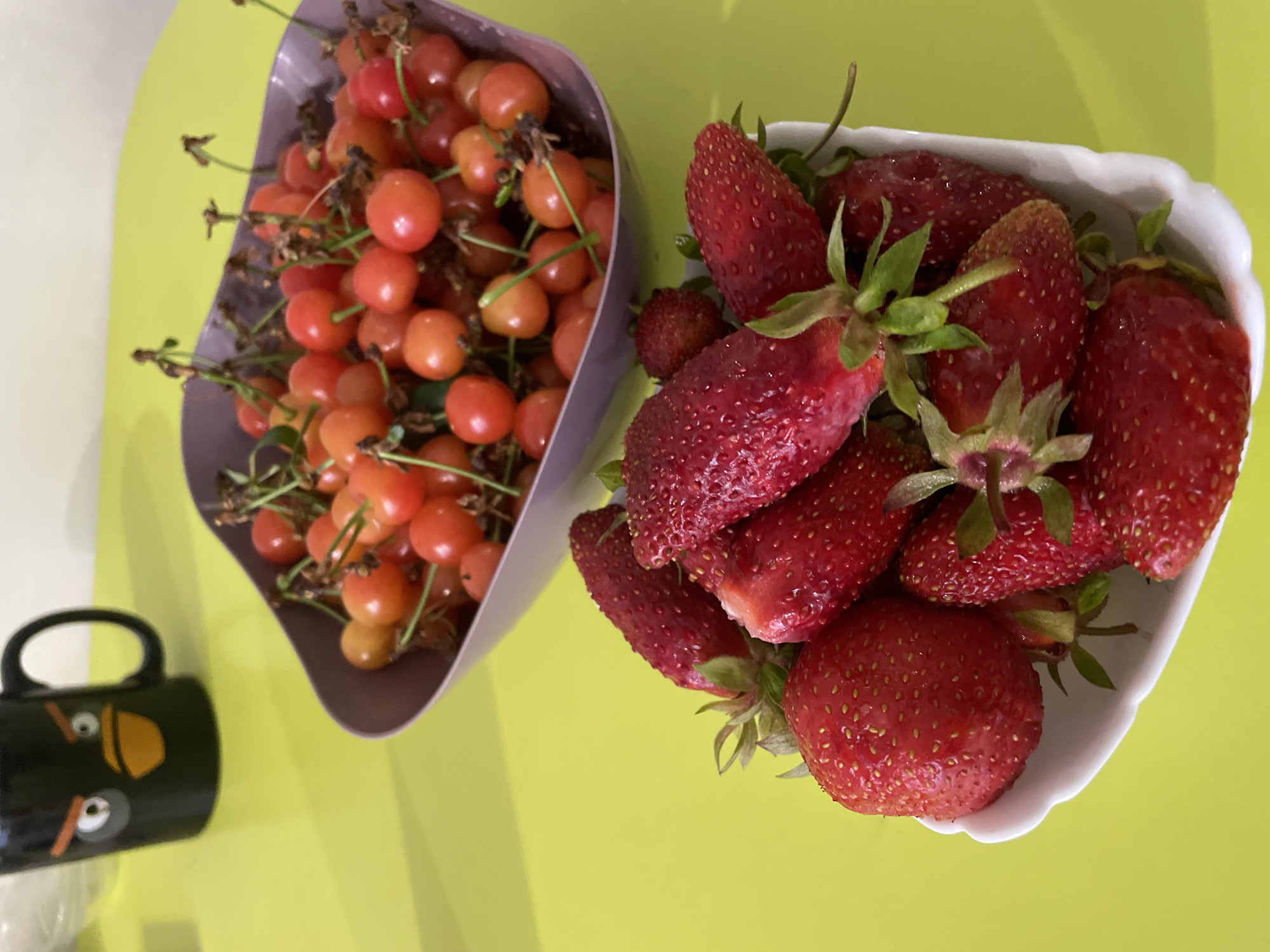 This is a close-up, eye-level, still photograph of two bowls of fruit on a lime green surface. In the foreground, a white bowl is filled with ripe strawberries. The strawberries are various sizes and shades of red, with some showing green stems and leaves. In the background, a purple bowl contains a pile of cherries. The cherries are small, round, and a mix of red and yellow hues, with stems attached. To the left of the bowls, a black mug with a cartoonish angry bird face is visible. The background appears to be a light-colored wall or surface. There is no indication of the location being in Saratov, Russia, or any other specific city.