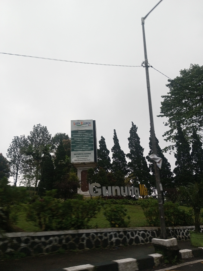 The image captures a roadside view of an agro-tourism destination on an overcast day. The scene is dominated by lush greenery, featuring various trees and bushes. In the center-left, a tall, vertical signboard stands on a stone base, providing information about the location. To the right of the signboard, large, silver-colored letters spelling "Gunung Ma" are arranged on a grassy slope, forming a prominent landmark.
The signboard, with a logo at the top reading "Agro Wisata N8," lists several amenities and services offered:
- RESORT
- CAMPING & GLAMPING
- BANQUET & P
- PUNCTION HALL (likely FUNCTION HALL)
- CATEHEST (likely CAFE & RESTO)
- OUTDOOR ACTIVITY
Below these, contact information is provided:
- OFFICE 24 HOURS
- 08112051616
- A partially visible website or email address starting with "www.agrowisat..."
Tall, slender trees, possibly conifers, line the landscape behind and to the right of the sign and sculptural text. Other trees with fuller, more rounded canopies are visible on the left and in the background. A dark, vertical utility pole with wires extends from the bottom right to the top center of the frame, partially obscuring some of the trees and the "Gunung Ma" text.
In the foreground, a dark asphalt road is visible, bordered by a low stone wall with a distinctive dark and light patterned texture. White and black striped barriers or curbs run along the edge of the road, suggesting a traffic lane. The sky is uniformly light gray and overcast, indicating either a cloudy day or low light conditions. The overall impression is one of a natural, serene environment, possibly an entrance to a park or resort, captured from a vehicle in motion, as suggested by slight motion blur on the road.