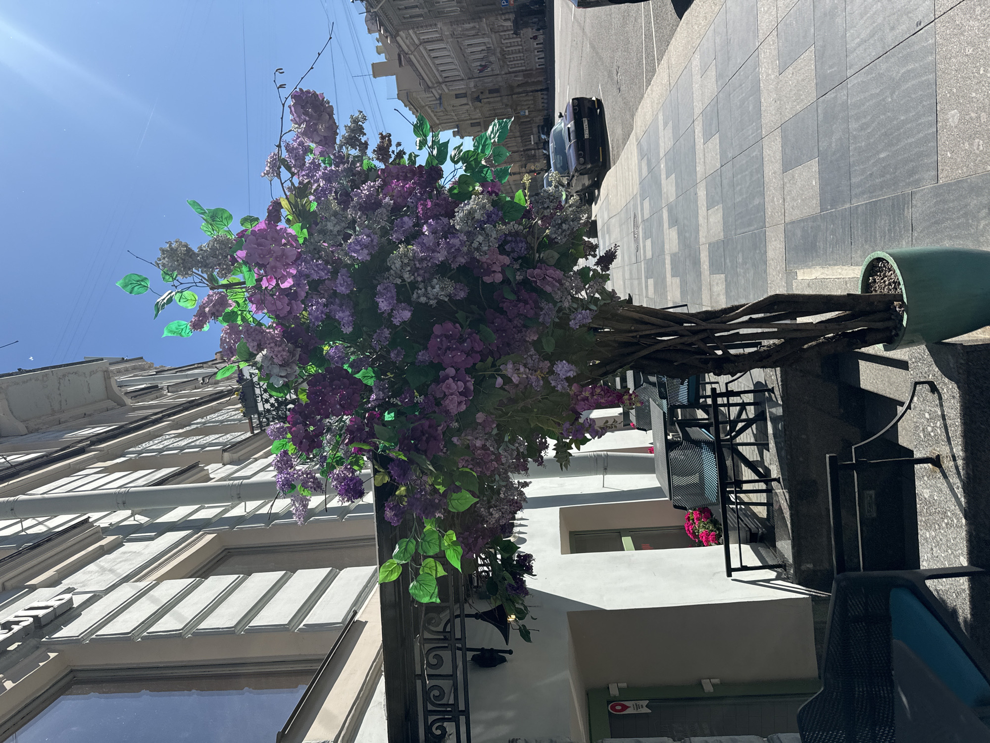 This is a vertical, eye-level outdoor photograph of a large, artificial floral arrangement in front of a building in Saint Petersburg, Russia. The arrangement features clusters of purple and lavender flowers, interspersed with green leaves, supported by a rustic, branch-like structure. The flowers are densely packed and hang downwards, creating a dramatic visual effect.
In the background, we see the architecture of Saint Petersburg, including classical building facades with ornate detailing. To the right of the floral arrangement, there is a sidewalk paved with large, grey square tiles. Beyond the sidewalk, a street is visible with a few parked cars and other buildings in the distance. The scene appears to be a sunny day, indicated by the bright blue sky with some faint cloud streaks and the strong shadows cast by the buildings and the floral structure.
The photograph is taken from a low angle, looking upwards towards the flowers and the sky, with the building facades stretching up on the left side. The overall impression is one of urban beauty, with the vibrant artificial flowers adding a touch of color and whimsy to the historical cityscape. There is no discernible activity or event taking place, and no visible text. The lighting suggests it is daytime, likely morning or afternoon due to the sun's angle.