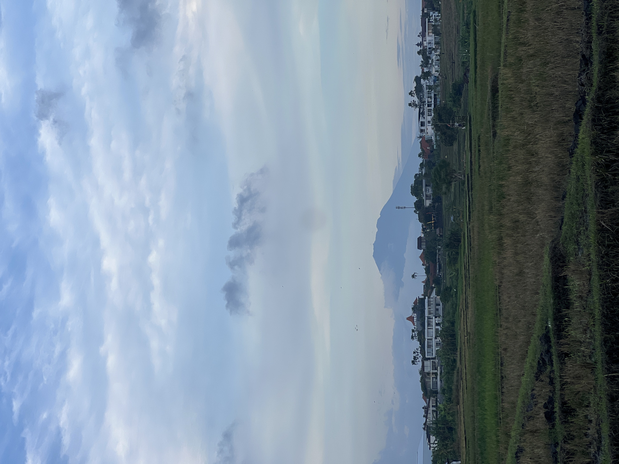 The image displays a wide, tranquil landscape captured with a horizontal perspective, though the original file is oriented vertically. The scene is divided into several distinct layers.
In the foreground, a significant expanse of rice fields stretches across the lower portion of the image. These fields show a variety of textures and colors, ranging from vibrant green to dried, brownish stalks, indicating different stages of cultivation or harvest. Further back, a line of modern residential buildings with white facades and reddish-orange roofs is visible, interspersed with lush green trees and palm foliage. These structures suggest a developed, possibly resort-style, community.
Dominating the mid-ground is a large, distant mountain range, appearing in soft, hazy blue and grey tones against the sky, indicative of atmospheric perspective. A tall, slender tower, possibly a telecommunication mast, can be seen on the mountain's slope. The sky occupies the upper part of the image, filled with a dynamic array of clouds. These clouds vary from bright white and light blue to more shadowed, darker grey patches, creating a sense of depth and movement. Several small, dark specks, likely birds, are scattered across the sky.
No specific human or animal activity is taking place. The lighting suggests either early morning or late afternoon, with a gentle, diffused quality that contributes to the serene atmosphere. The weather appears partly cloudy with some atmospheric haze. The presence of rice paddies, tropical vegetation, and a mountainous backdrop aligns well with the provided location context of North Kuta, Indonesia, showcasing a blend of agricultural land and modern habitation. There is no visible text in the image.