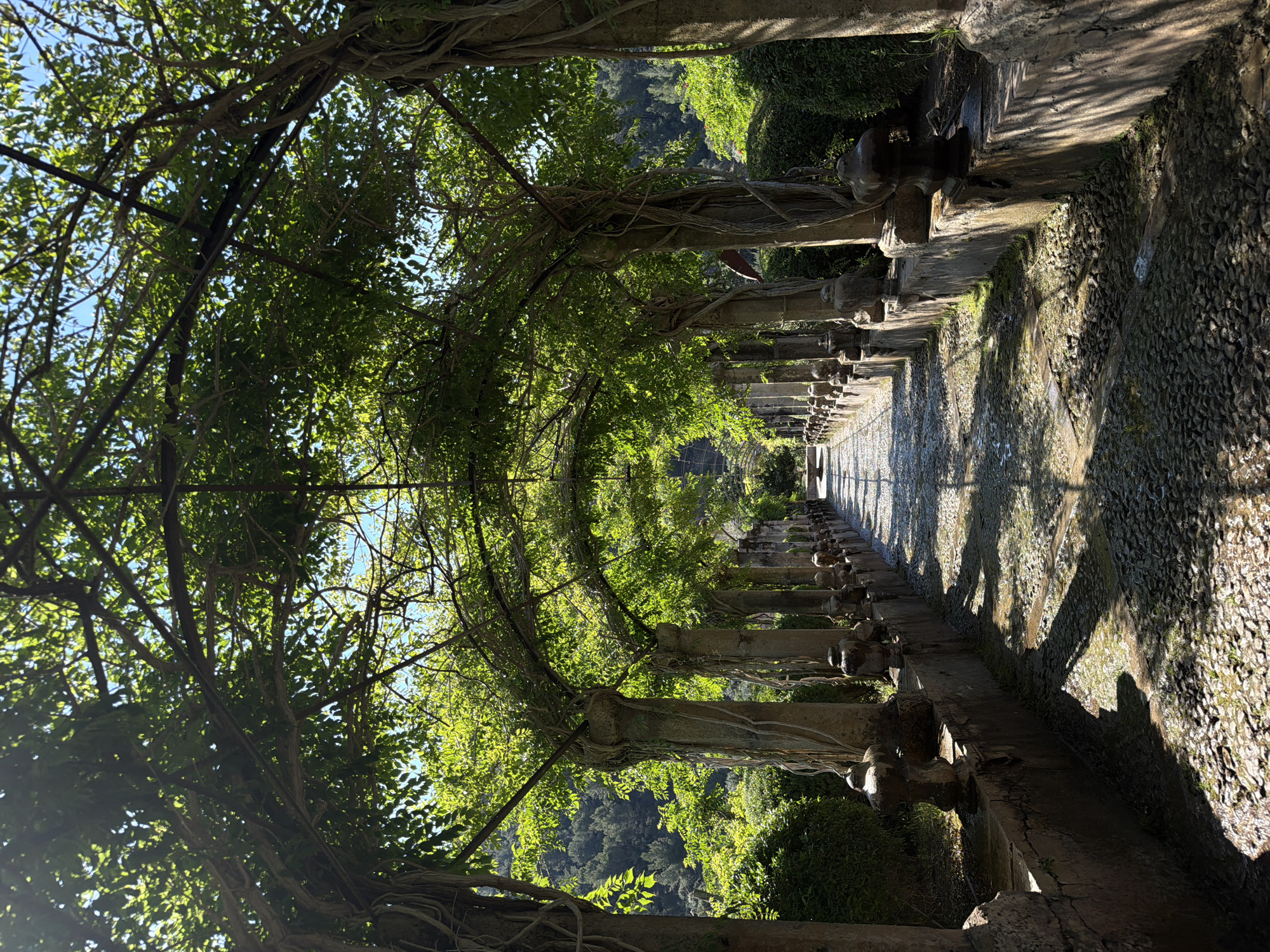 This is a photograph of the Water Staircase in the Jardins de Alfàbia, located in Bunyola, Spain. The structure is an alley of concrete columns draped in vines and trees that create a shady tunnel. The ground is covered in small stones. Water flows from the railing onto the ground. Beyond the arcade of columns, there is a view of trees and the sky.