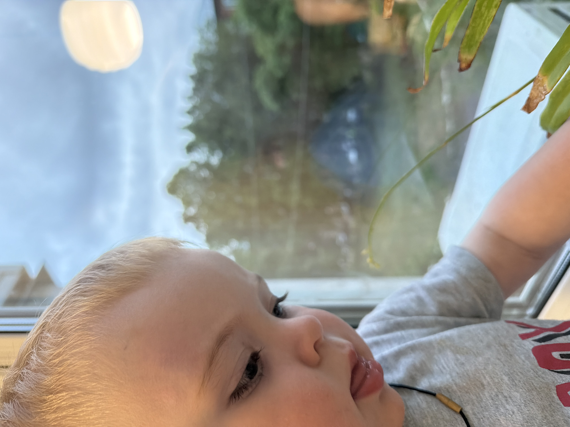 A close-up shot shows a child with blond hair, lying down near a window. The child is wearing a gray shirt with some red and black markings visible. The child's eyes are open and directed upwards towards a plant with green leaves. A blurred view of the outdoors is visible through the window. There is no indication of the location being in Votkinsk, Russia or any other specific place.