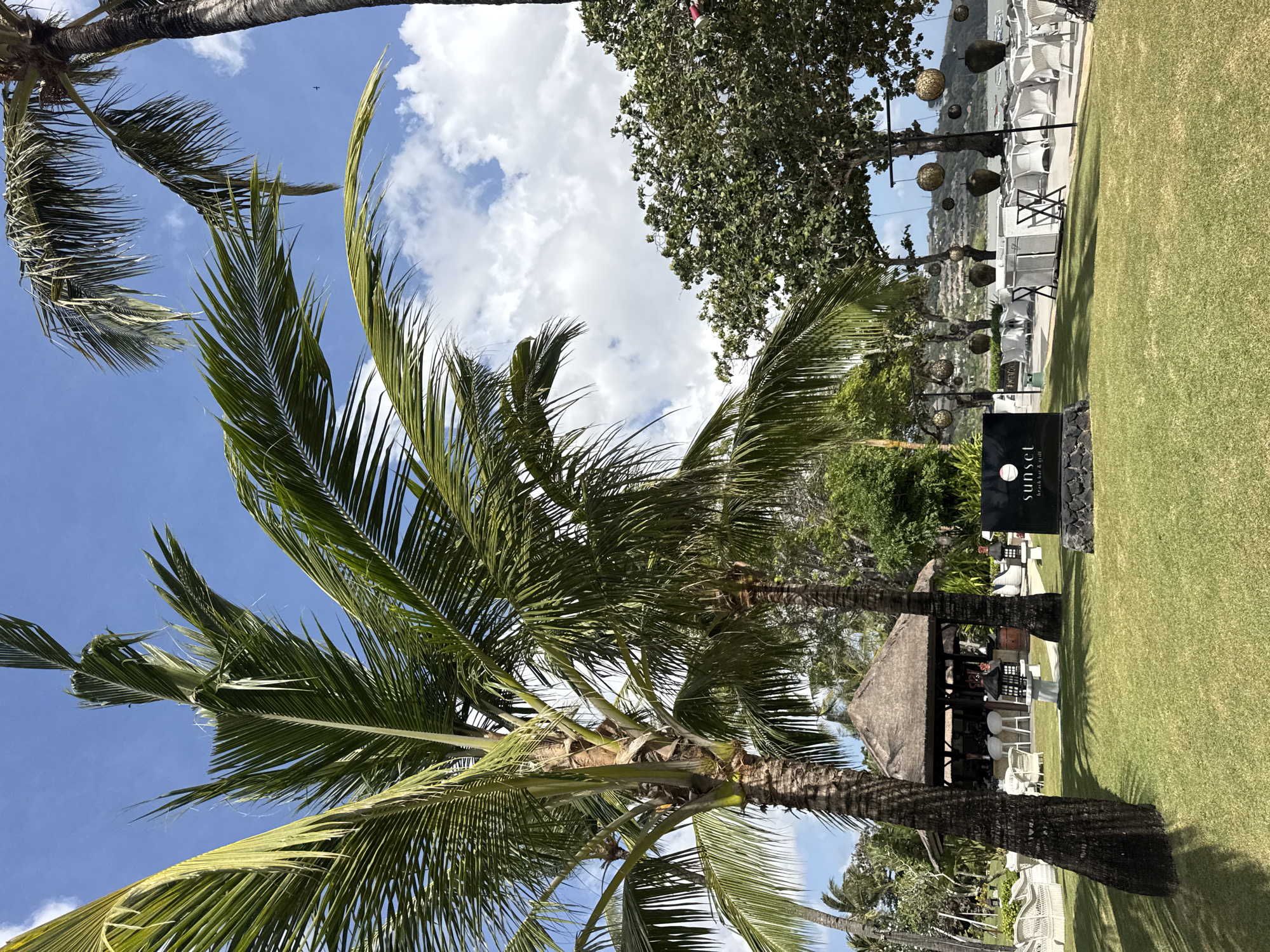 In the city of Kuta Selatan, Indonesia, a view of a beach bar and grill called "Sunset Beach Bar & Grill" is presented. The scene is dominated by lush green grass in the foreground, leading to a thatched-roof open-air bar with white stools. Two tall palm trees frame the left side of the image, their fronds reaching towards a bright blue sky with scattered white clouds. In the middle ground, a black sign with white lettering displays the establishment's name, "sunset beach bar & grill." Beyond the bar, white wicker chairs and tables are arranged on a patio, suggesting an outdoor dining area. Decorative spherical lights hang from trees in the background, casting shadows on the scene. Further in the distance, the ocean is visible, with a hillside dotted with buildings. The overall atmosphere is relaxed and tropical.