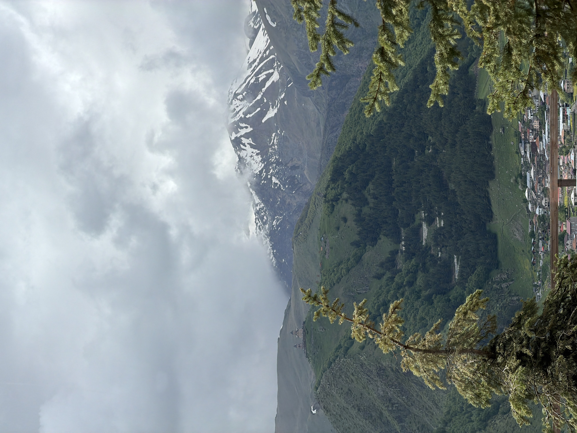 A vertical, overcast shot depicts the Gergeti Trinity Church perched on a lush green hilltop in Stepantsminda, Georgia. The church, with its twin conical roofs and stone construction, stands out against the muted grey sky and the surrounding mountainous terrain. Snow-capped peaks loom in the background, partially obscured by clouds. In the foreground, a large coniferous tree with sparse, light-colored foliage dominates the lower portion of the frame. Below the church, a village with red-tiled roofs and various buildings is nestled in the valley. The scene is a wide shot of the landscape, with no people or animals visible. The overall mood is serene and slightly melancholic due to the overcast weather.
