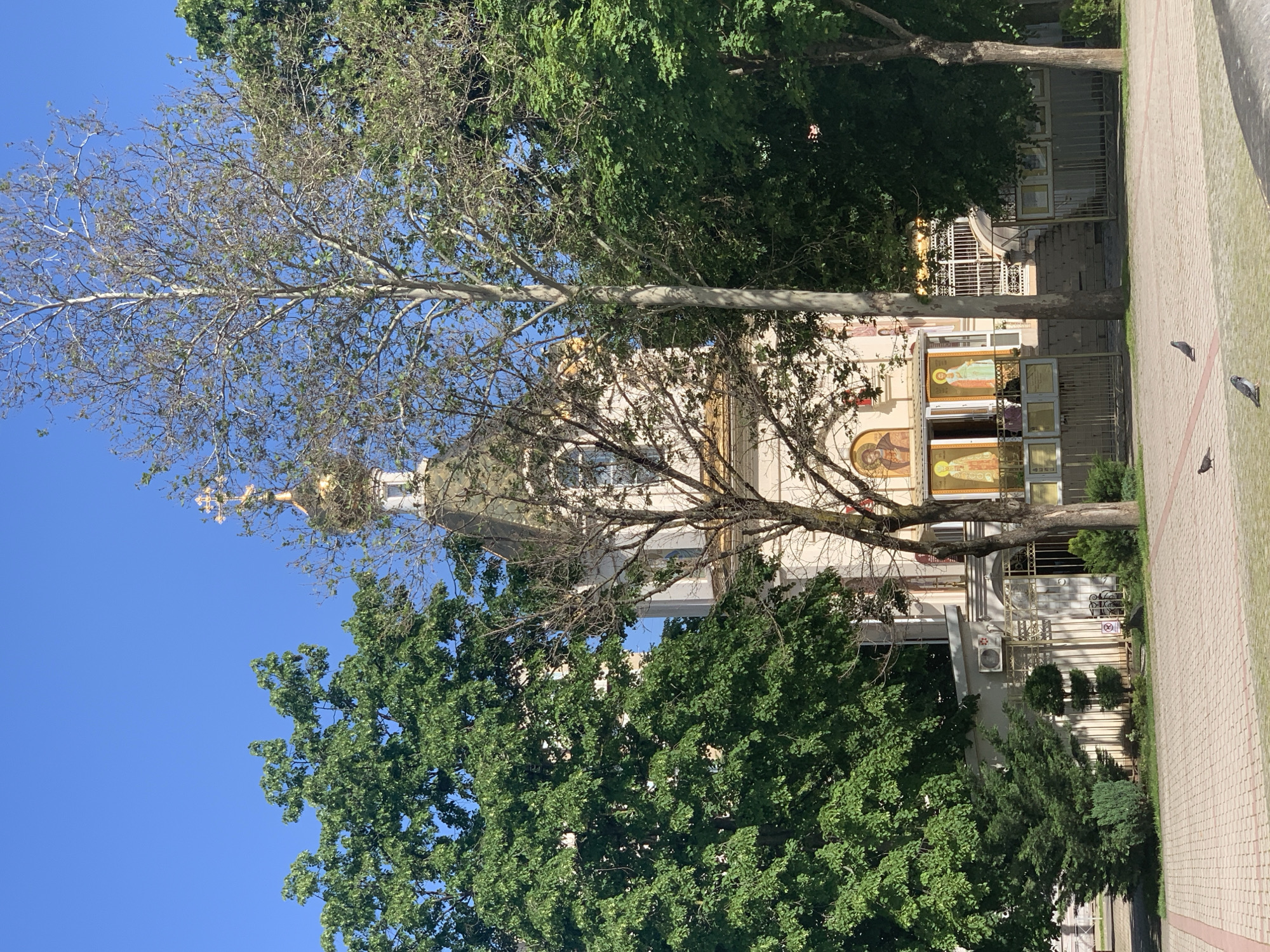 The image displays an outdoor scene centered around a religious building, likely an Eastern Orthodox church, under a clear blue sky. The building is light-colored, possibly cream or white, with a golden dome crowned by a cross. Its facade is adorned with vibrant religious icons or murals, depicting figures such as saints.
Several trees are prominent in the scene. A tall, slender tree with mostly bare branches stands directly in front of the building, partially obscuring its upper structure. Other trees with dense green foliage frame the building on both sides and appear in the foreground and background.
To the right of the building, a wide pathway constructed of light-colored pavers or cobblestones stretches into the distance. A few pigeons are scattered on this pathway. Additional details include a decorative metal fence or gate near the building, an air conditioning unit mounted on its side, and smaller shrubs or bushes. A "no cycling" sign, identifiable by its universal symbol, is visible on a fence post.
The scene is brightly illuminated by sunlight, indicating a clear, sunny day, likely morning or afternoon. No specific activity or event is taking place, presenting a serene and static view of the architectural and natural elements. No distinct readable text is visible other than the universal symbol on the "no cycling" sign.