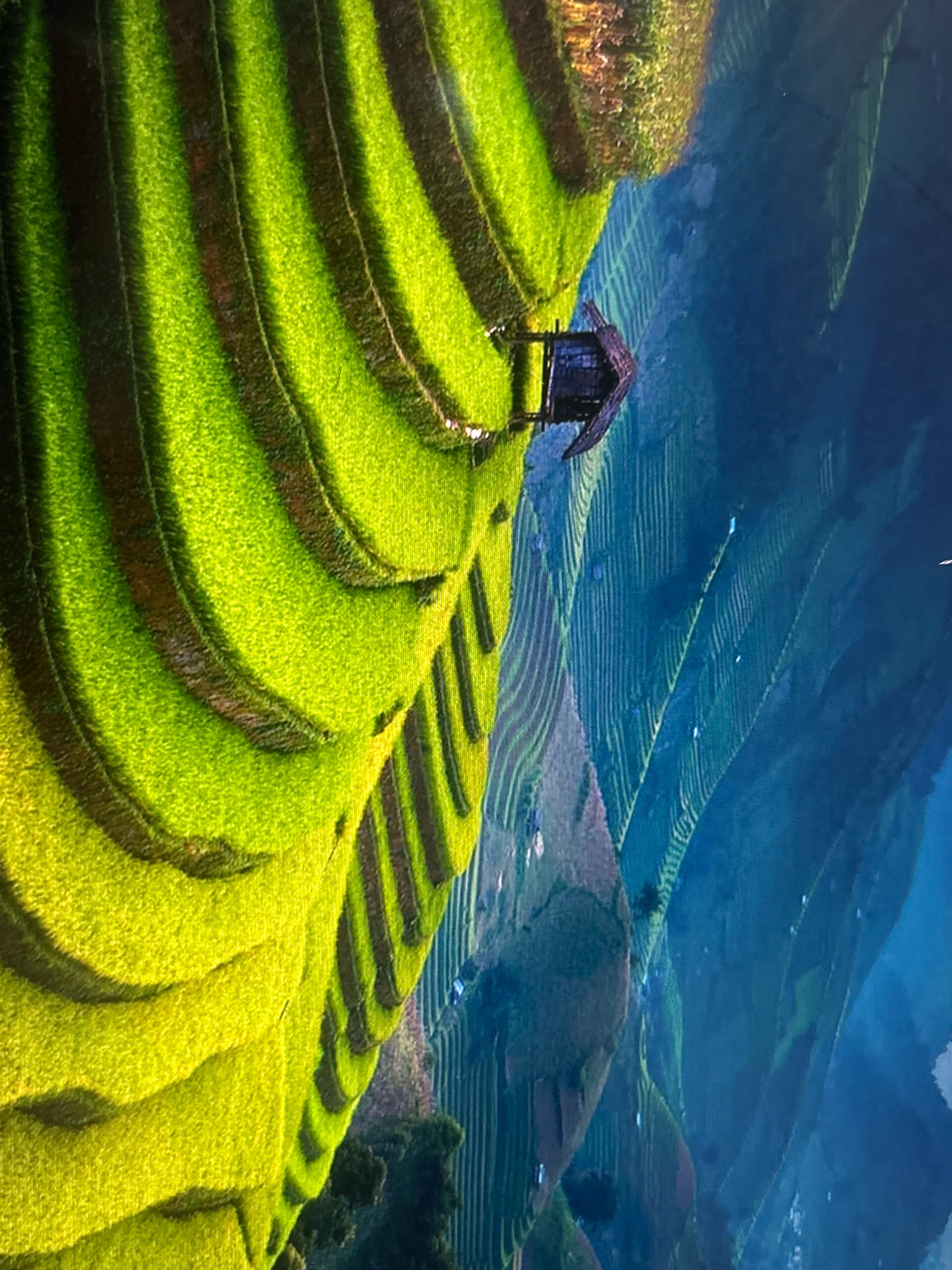 The image depicts a steep hillside covered in vibrant green terraced rice paddies. The terraces are meticulously carved into the landscape, creating a striking visual pattern of layered greenery separated by dark soil or water channels. Sunlight illuminates the rice plants, highlighting their texture and the undulating contours of the terrain.
Nestled within the rice paddies, slightly off-center to the right, is a small, dark-colored structure, possibly a hut or shed, with a pitched roof and visible supports. This structure appears to be perched on the edge of a terrace, overlooking the expanse of rice fields.
The background transitions to a deep blue, likely representing a body of water or a distant misty valley. The overall scene evokes a sense of rural tranquility and the agricultural beauty of a mountainous or hilly region. There are no people visible in the image.
The request to include the location in the city of Gurgaon, India, cannot be fulfilled as the image does not contain any visual cues or information that would identify it as being in Gurgaon. The landscape depicted is characteristic of many rice-growing regions worldwide and does not specifically point to India, let alone Gurgaon.
