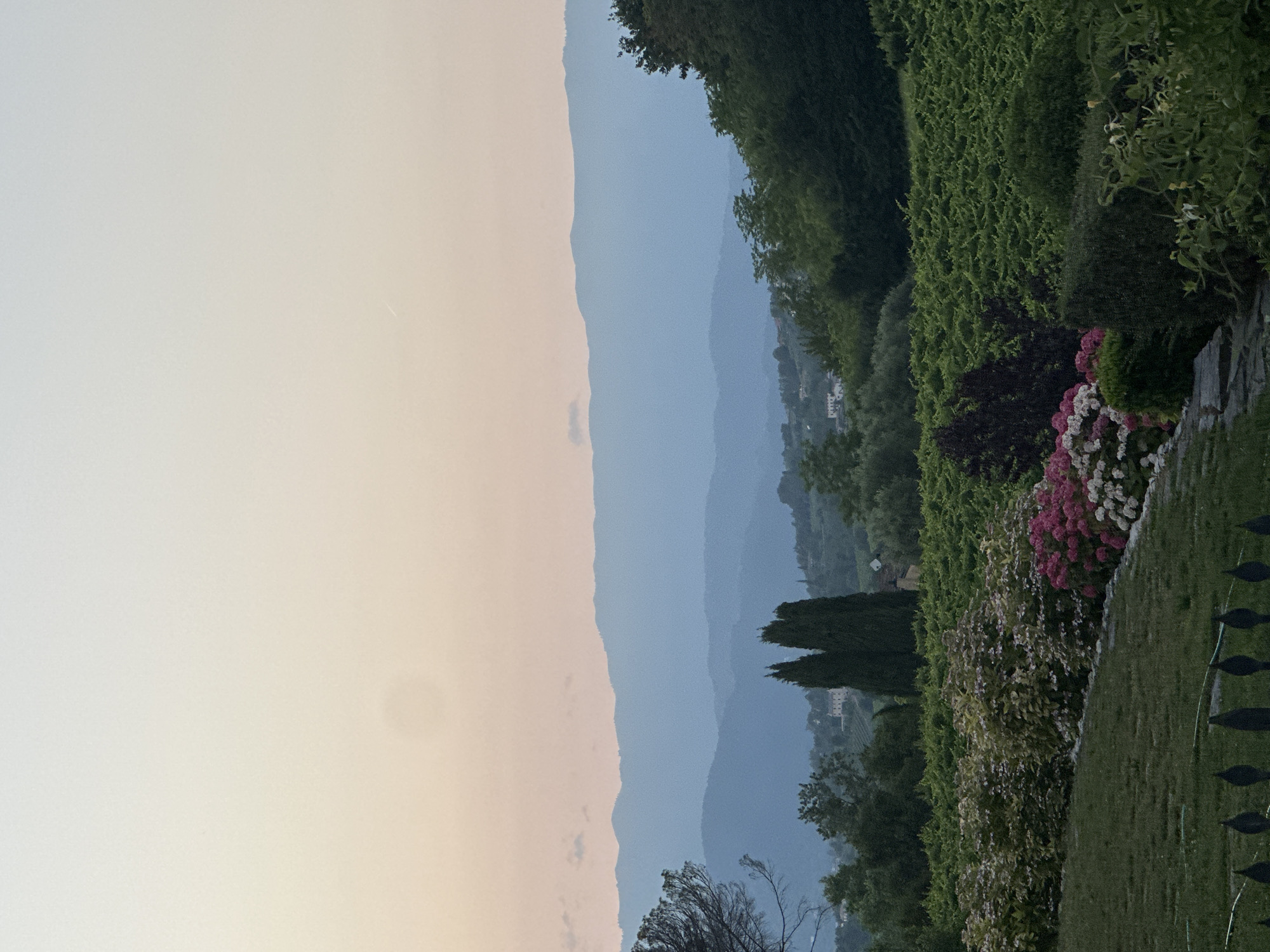 The image depicts a serene landscape at dusk, likely in the hills surrounding Conegliano, Italy. The sky transitions from a pale pinkish-orange near the horizon to a soft blue overhead, suggesting the last moments of daylight or the early stages of twilight. In the distance, multiple layers of rolling hills recede, becoming progressively bluer and more indistinct due to atmospheric haze.
In the mid-ground, a dense vineyard blankets the sloping terrain, its vibrant green foliage creating a rich texture. Interspersed among the vines, and on the fringes of the scene, are scattered trees and hints of buildings, suggesting a rural or semi-rural setting. Two tall, dark green cypress trees stand prominently in the middle ground, adding a vertical element to the otherwise horizontal landscape. A building, possibly a villa or farmhouse, can be seen nestled on a hillside behind these trees.
The foreground is occupied by a manicured lawn, bordered by a colorful array of flowering shrubs. Hydrangeas in shades of pink, white, and purple are the most prominent, adding bursts of color. To the left of the lawn, a dark, wrought-iron fence runs along the bottom edge of the frame. The overall impression is one of tranquility and natural beauty, characteristic of the Italian countryside.