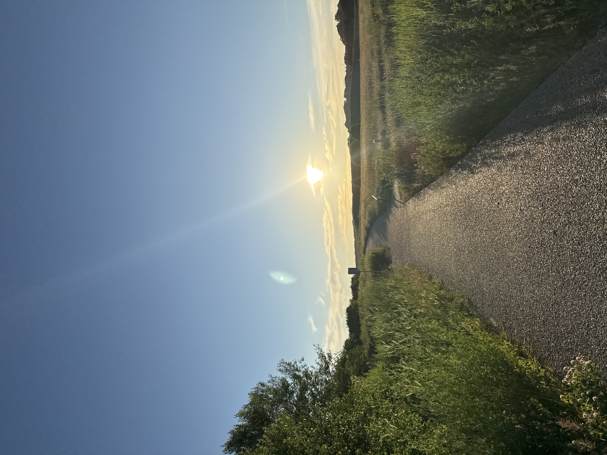 This is a vertical, eye-level, full shot of a gravel pathway curving through a grassy field under a clear blue sky with the sun setting. The path is in the foreground and leads away from the viewer, widening slightly as it recedes. To the left of the path is a dense, green tree with leafy branches. To the right and stretching into the distance is a field of tall, green grass and some smaller plants. The sun is low in the sky, casting a bright, warm light and creating a lens flare. In the middle ground, a small, dark signpost is visible on the right side of the path. The horizon line is low, with a line of trees and hills in the distance. The overall impression is of a peaceful, natural landscape in a suburban or rural setting, likely on the outskirts of Vejle, Denmark, given the vegetation and open space typical of the region.