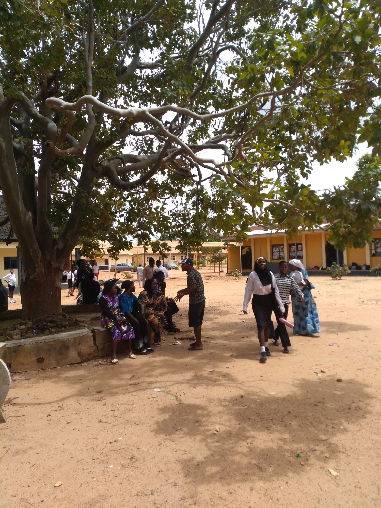 This image depicts an outdoor scene in the city of Jos, Nigeria, characterized by a large tree, dirt ground, and several people, with buildings in the background.
A mature tree with a thick, gnarled trunk and prominent light-grey branches covered in green foliage occupies the left side of the frame, casting shadows across the ground. Its base is encircled by a low, light-grey concrete barrier or bench. The ground is reddish-brown dirt, with scattered small debris and varying shadow patterns.
In the mid-ground, under the tree, a group of individuals is present. Four women are seated on the concrete barrier: one in a purple and multicolored patterned dress, one in a blue top and dark skirt, one in a brown and orange patterned dress, and a fourth partially visible in a patterned dress. A man wearing a plaid short-sleeved shirt, dark shorts, and a blue baseball cap stands before them, actively gesturing with his hands as if conversing. Further back under the tree, other individuals are visible, including one seated on a black scooter.
Towards the mid-right, three individuals walk across the dirt ground. The foremost is a woman in a white long-sleeved shirt, black headscarf, and black skirt, wearing white socks and dark shoes. Alongside her, another person in a horizontal striped shirt and dark pants carries a pink cylindrical object. Behind them, a woman in a long blue and white patterned dress and a white head covering walks, appearing to hold a small bundle or child.
In the background, multiple single-story buildings with yellow-painted walls, dark roofs, and dark-framed windows are visible. Several people are standing or moving near these buildings, and a light-colored sedan is parked further back on the right side. The sky in the upper portion of the image is light and hazy.