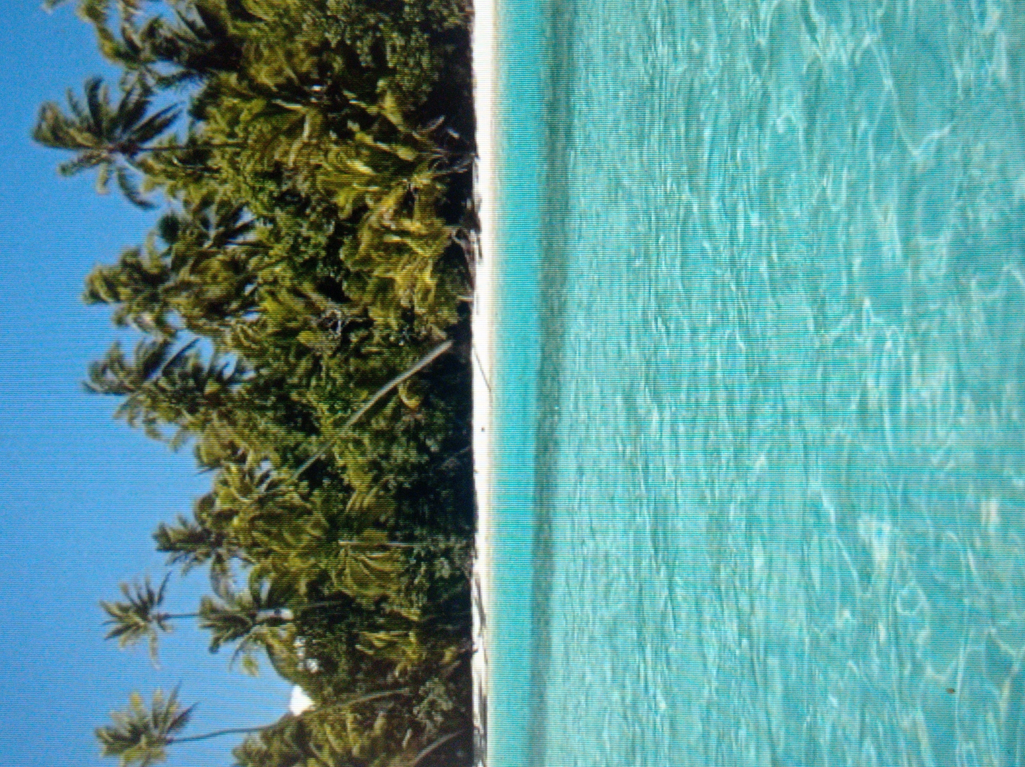 The image depicts a tropical beach scene. In the foreground, a body of clear, turquoise water with gentle ripples is visible. The water appears shallow near the shore, with sunlight creating patterns on the sandy bottom. The middle ground features a white sand beach lined with lush green palm trees and dense foliage. Some palm trees are tall and slender, while others are shorter and more bushy, with their fronds extending outwards. A portion of a white structure, possibly a building or a resort, can be seen peeking through the trees on the left side of the image. The background is a clear, bright blue sky. The image does not show any people or specific landmarks, and therefore cannot be associated with Mukachevo, Ukraine.