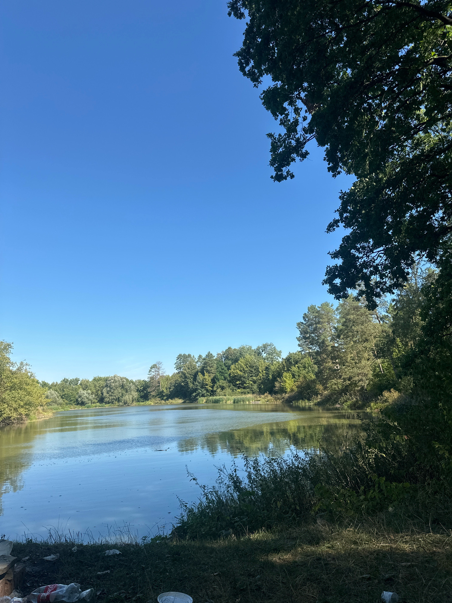 The image depicts a serene natural landscape with a body of water, likely a lake or river, reflecting the clear blue sky. The water is calm, with gentle ripples on its surface. Surrounding the water is lush green vegetation, including trees and bushes, forming a dense forest that extends towards the horizon. The trees are a mix of deciduous and coniferous species, with vibrant green foliage. On the right side of the image, a large tree with dark green leaves partially obscures the view, casting a shadow on the scene below. The ground in the foreground is covered with dry grass and some scattered plastic debris, indicating human presence in the area. The overall impression is one of a tranquil, natural setting that has been slightly marred by litter. The photograph does not contain any people or specific landmarks that would place it definitively within the city of Shatava, Ukraine.