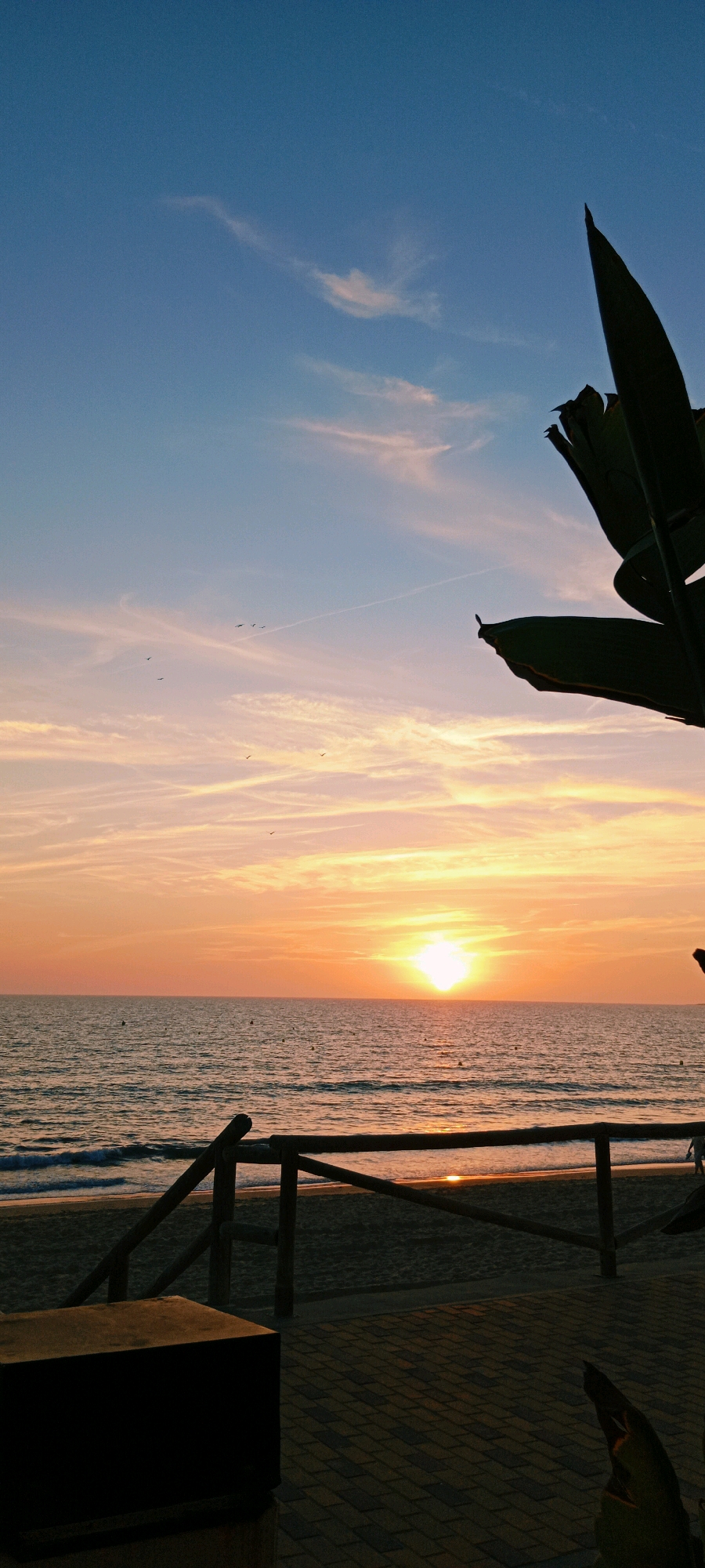 This is a vertical, medium-shot, outdoor photograph of a beach at sunset. The sun is low in the sky, casting a warm orange glow across the scene. The ocean is calm, with gentle waves lapping at the shore. In the foreground, a wooden fence separates the paved area from the sand. A dark, rectangular object, possibly a bench, sits on the paved area to the left. The sky is a gradient of blue and orange, with wispy clouds. Several birds are visible in the sky. To the right, the dark silhouette of large leaves frames the top of the image. The location is likely a beach in El Puerto de Santa María, Spain, given the style of the wooden fencing and the presence of palm-like foliage. The image captures a peaceful, serene moment as day turns into night.