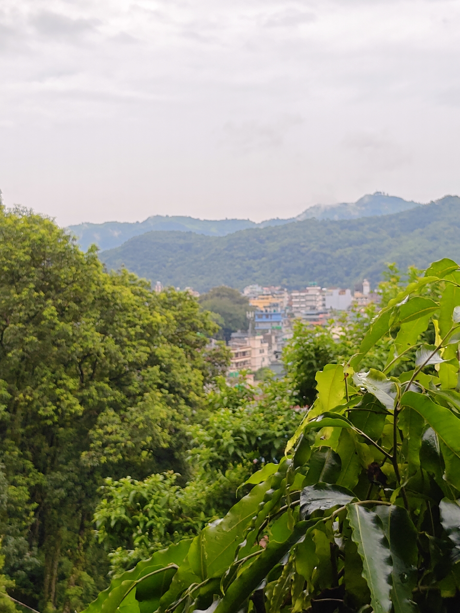 The image depicts a view overlooking the city of Pokhara, Nepal, from a vantage point surrounded by lush greenery. In the foreground, the dense foliage of trees, with large, glossy green leaves, partially obscures the view. Beyond the trees, the mid-ground reveals a collection of buildings, characteristic of a city, with structures of varying heights and colors, including some with blue and yellow facades. In the background, rolling hills and mountains form a majestic backdrop, with the peaks softened by a light mist or clouds. The sky above is overcast, suggesting a cloudy or possibly rainy day. The overall scene conveys a sense of a city nestled within a natural, mountainous environment.