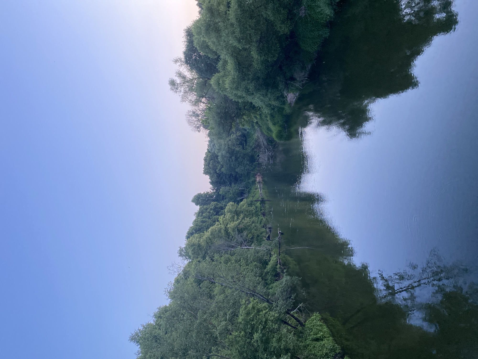 The image shows a serene river flowing through a lush green forest under a clear blue sky, possibly in Yuryatino, Russia. The water is calm and reflects the surrounding trees and the sky, creating a mirror-like effect. The banks of the river are densely covered with trees and vegetation, with some dead branches visible in the water. The sky is a soft gradient of blue, transitioning to a lighter hue near the horizon, suggesting it might be early morning or late evening. There are no visible people or animals in the scene, contributing to the peaceful and natural ambiance. The overall impression is one of tranquility and untouched nature.