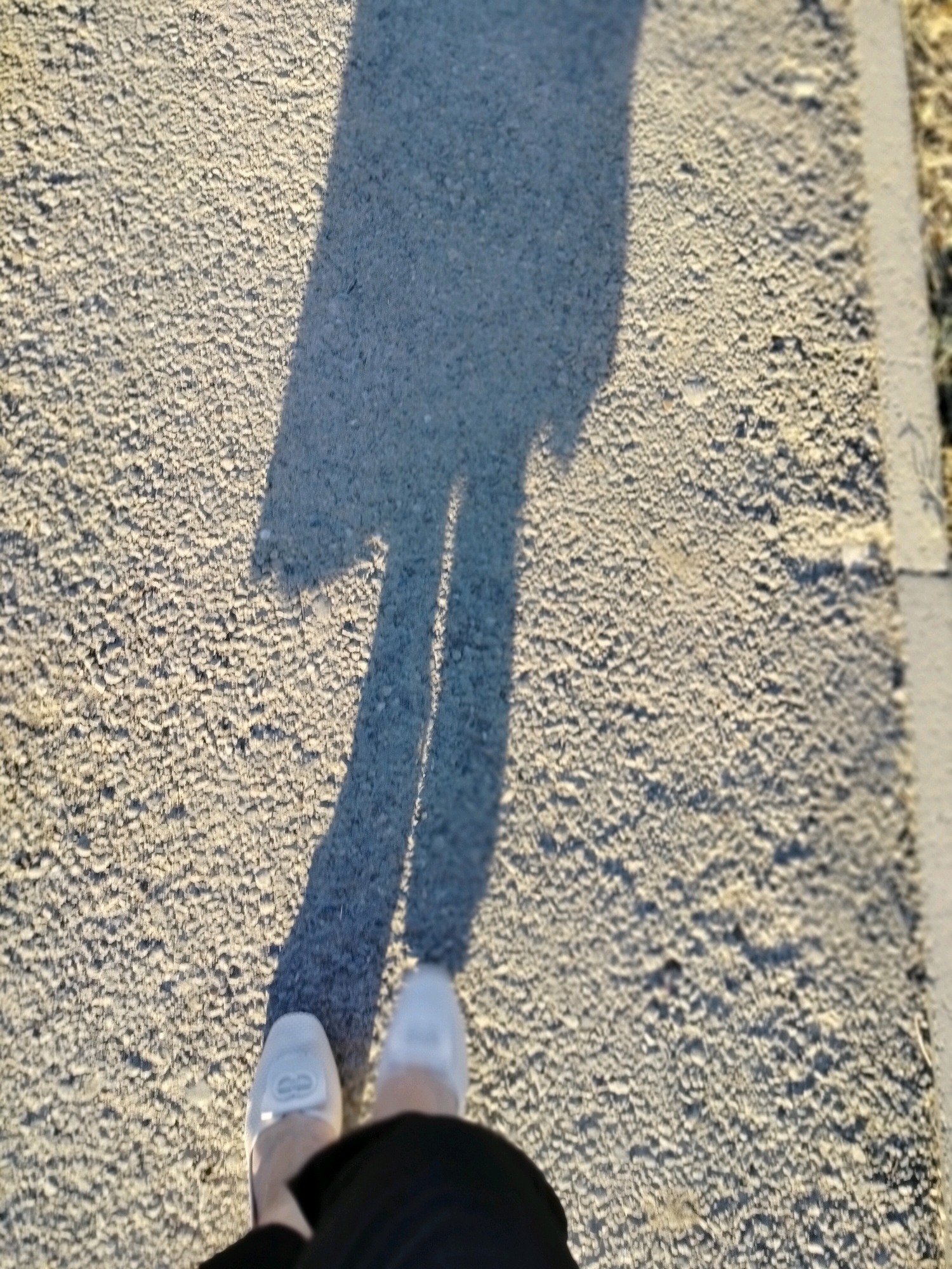 The image shows a shadow of a person walking on an asphalt surface. The shadow is cast by a low sun, indicating it is likely early morning or late afternoon. The surface is a light grey asphalt with a rough texture, typical of roads or sidewalks. On the right side of the image, there is a curb made of concrete, bordering the asphalt. The background is out of focus, but appears to be a natural environment with dry vegetation. The perspective is from above, looking down at the ground and the person's shadow and feet. The person is wearing white shoes and dark clothing. The scene appears to be in an outdoor urban or suburban environment, possibly a street or pathway within the city of Kölkent, Kazakhstan, given the context.