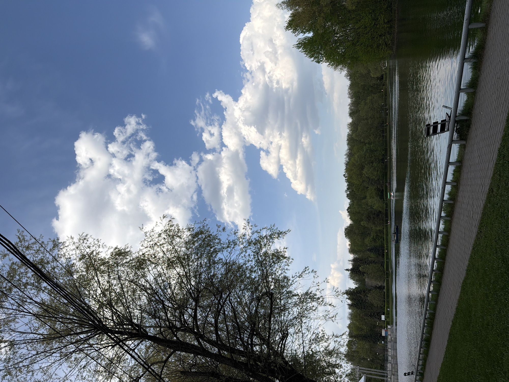 A partially obscured view of a body of water lined with a paved walkway and adjacent grassy area. Dense trees border the water's edge, while the sky is a light blue with scattered cumulus clouds. A leafless tree in the foreground partially obscures the view of the water. Electrical wires are visible among the branches of the tree. A small, wooden platform is near the walkway and in the water. Based on the type of trees and the urban environment, this location is potentially in a park in Moscow, Russia.
