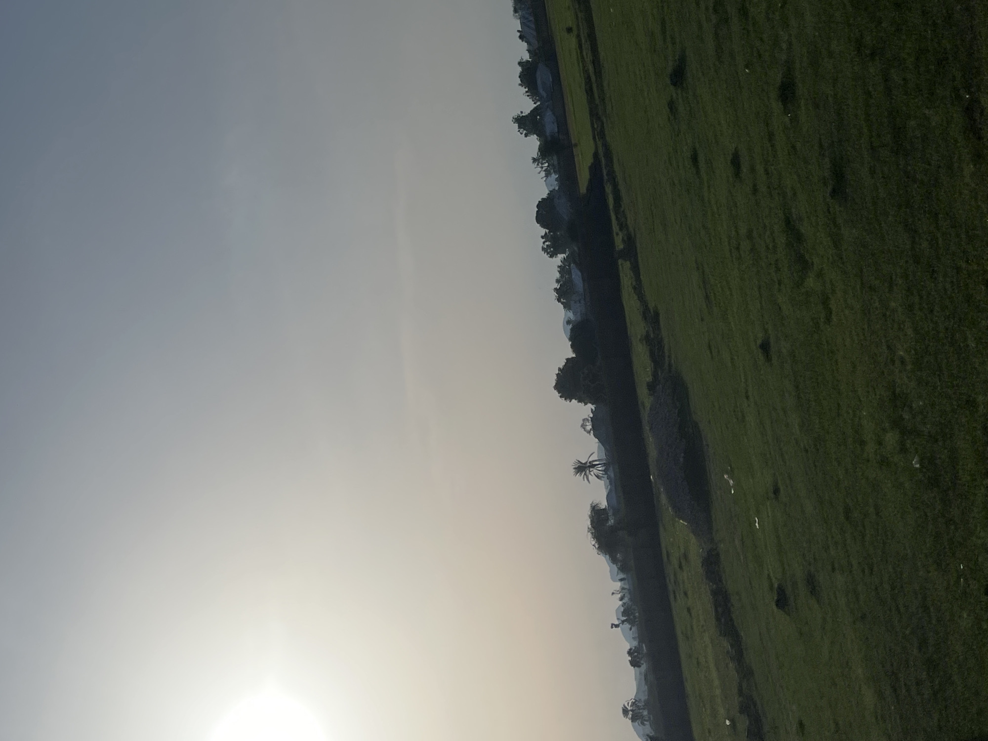 This image depicts a sunlit rural landscape in Bauchi, Nigeria, viewed from an elevated perspective looking across a sloping field towards a distant horizon. The upper left quadrant of the frame contains a prominent, intensely bright sun, casting a significant lens flare and illuminating the scene from the left. The sky transitions from a brilliant white around the sun to a muted, hazy light blue-grey towards the upper right, with no distinct cloud formations.
Across the mid-ground, a horizontal band of mixed natural and built elements is visible. This includes various trees and dense foliage, notably several distinct palm trees, interspersed with what appear to be scattered single-story structures with light-colored roofs, suggesting a village or residential area. The overall silhouette of this distant line is dark against the hazy sky. Below this line, there is a darker, indistinct strip of land or low structure, possibly a wall or embankment.
The foreground and lower two-thirds of the image are dominated by a gently sloping, verdant green field, consistent with grassland or agricultural land. The grass displays variations in shade and texture, with some darker patches and minor undulations in the terrain. In the mid-right foreground, a large, dark, irregular mound, possibly composed of earth, rocks, or accumulated debris, is present. Scattered across the green field, particularly in the lower-mid and right sections, are several small, white pieces of debris, likely plastic or paper litter. No individuals, animals, or explicit actions are discernible within the frame.
