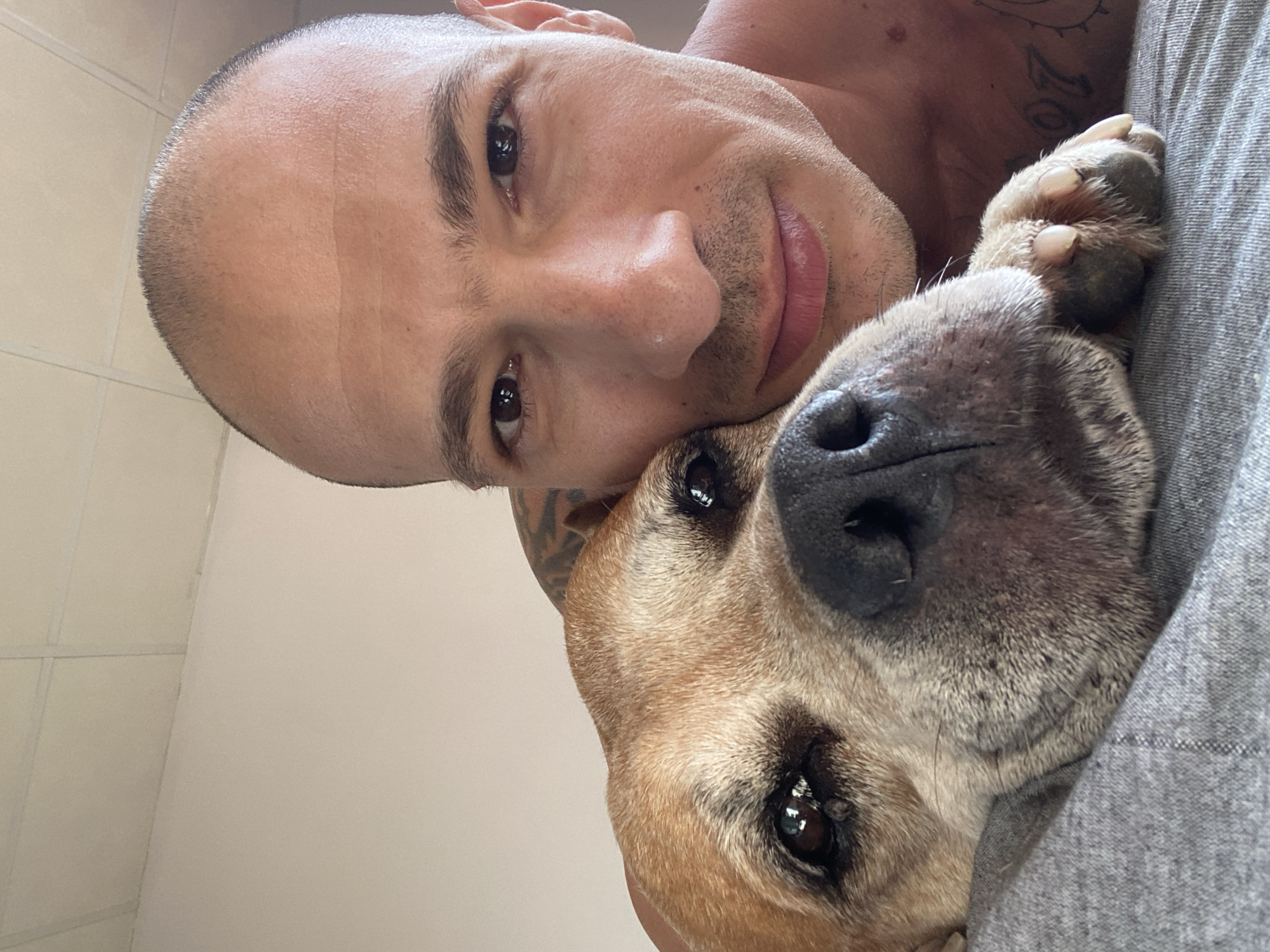 The image is a close-up selfie of a man and a dog. The man is bald, with a shaved head, and has tattoos on his shoulder and chest. He is smiling slightly. The dog is a light brown color and is resting its head on the man's shoulder. The background appears to be a room with a light-colored ceiling and wall, possibly a bedroom. The image does not provide any information about the location in the city of Pleven, Bulgaria.
