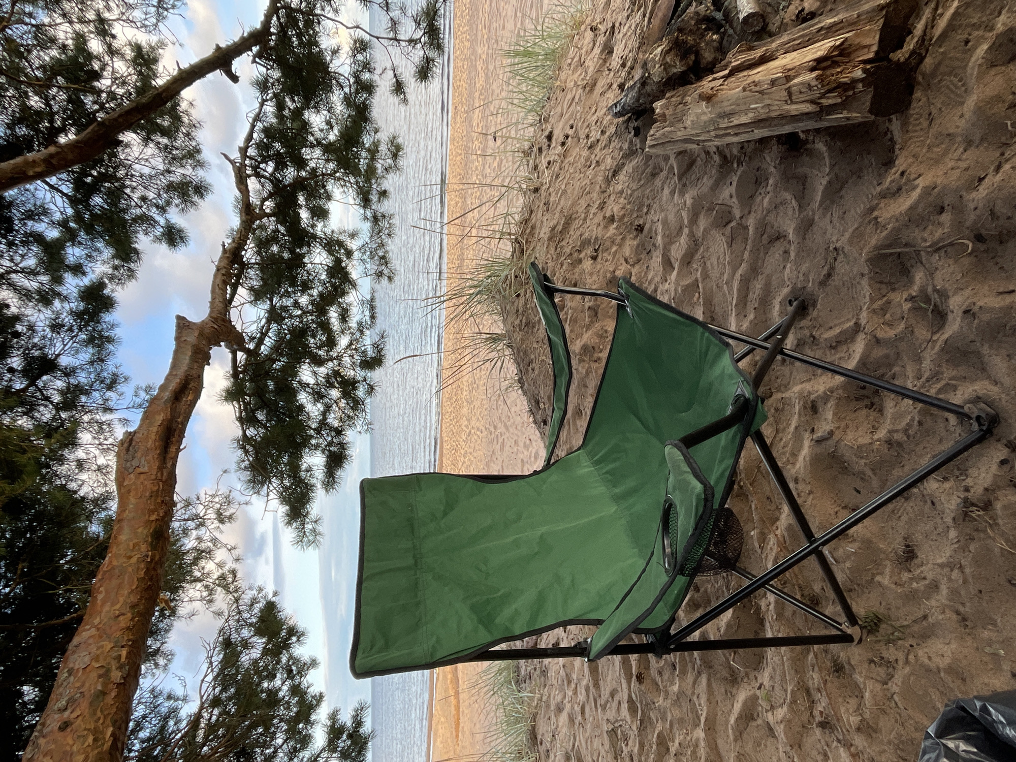 A green folding camping chair is positioned on a sandy beach in Zelenaya Roshcha, Russia, facing the Baltic Sea. The chair is in the foreground, with its legs slightly sunk into the sand. To the right of the chair, a weathered piece of driftwood lies on the beach. Behind the chair, the sandy shore slopes up to a dune dotted with sparse, dry grass. The sea stretches out to the horizon under a partly cloudy sky. A large pine tree branch hangs over the scene from the top left, its needles creating a natural frame. The image is taken from a low angle, emphasizing the chair and the natural surroundings.
