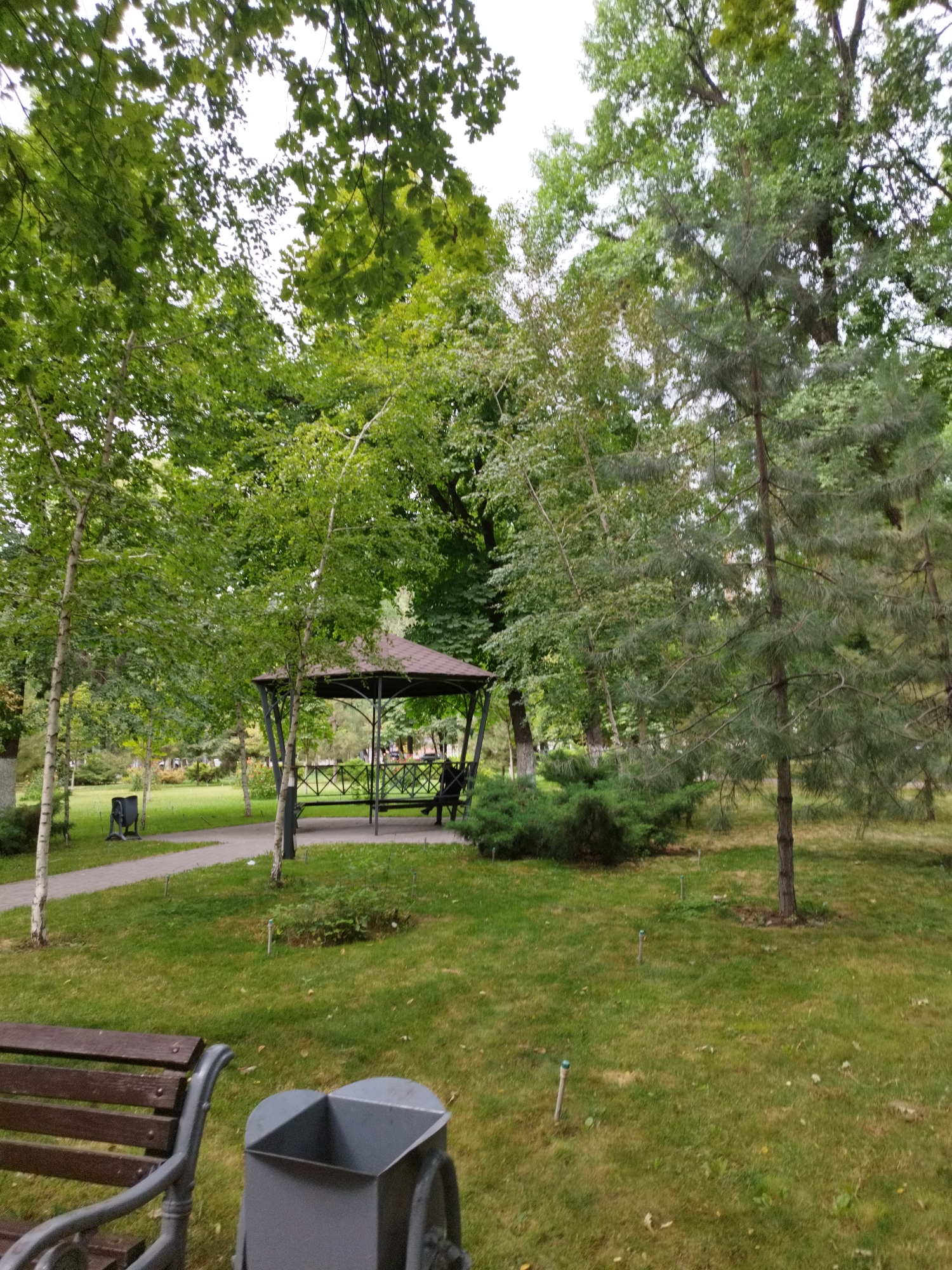 The image depicts a park scene in Shymkent, Kazakhstan, featuring a central gazebo with a brown roof and dark metal framework, located on a paved pathway. A person is seated on a bench inside the gazebo. Flanking the path are lush green lawns and various trees, including slender birch-like trees with white bark on the left and a tall, mature pine tree on the right. In the foreground, a dark wooden bench with grey metal armrests is visible on the left, next to a grey waste receptacle with wheels. Small, white-tipped stakes are scattered throughout the grass, suggesting landscaping or irrigation. The overall atmosphere is tranquil and natural, characteristic of a well-maintained urban park.