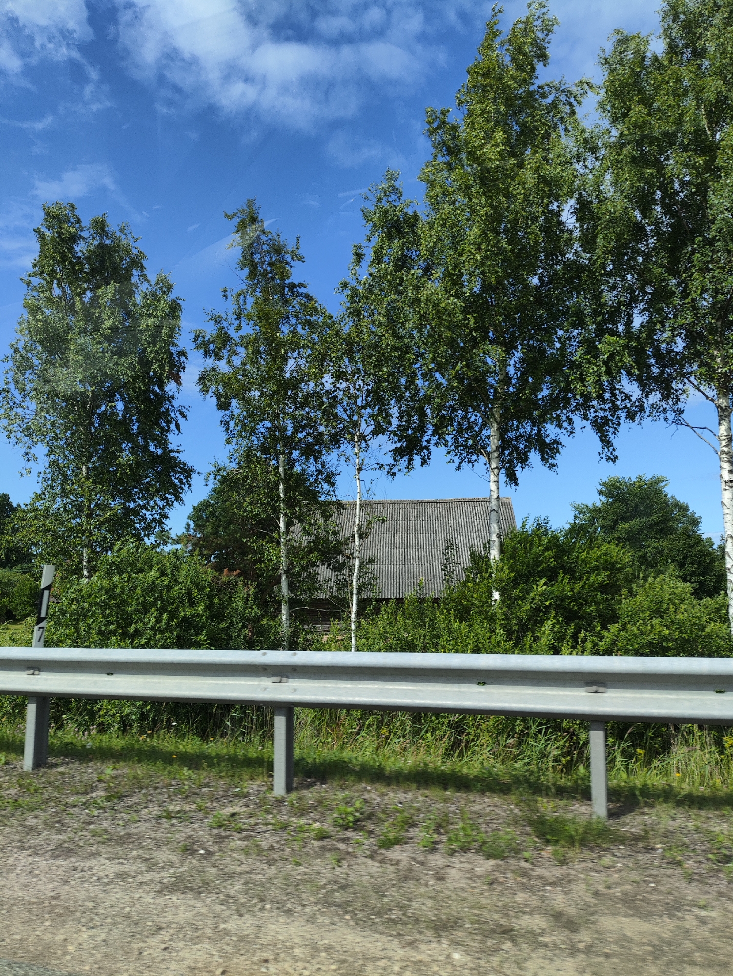 The image depicts a roadside scene in Katlapi, Latvia, under a bright blue sky with scattered white clouds. A silver guardrail runs horizontally across the foreground, supported by grey metal posts. Beyond the guardrail, a dense green hedge is visible, interspersed with tall birch trees with white bark and green foliage. Partially obscured by the trees and foliage is the grey, corrugated roof of a building, likely a house or shed. The ground in front of the guardrail is a mix of gravel and sparse green grass with some small white and yellow flowers. The overall environment suggests a rural or semi-rural setting.