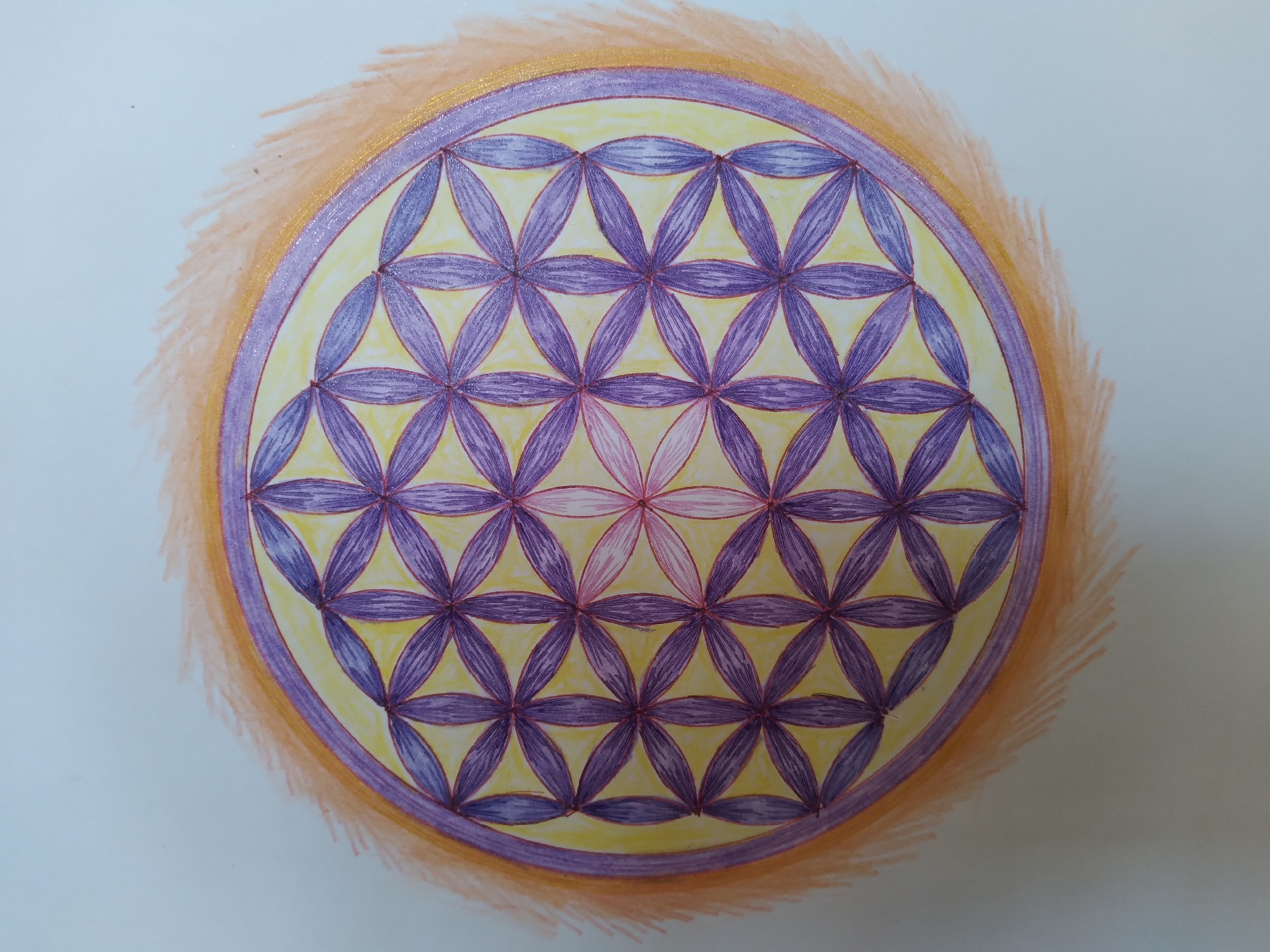 The image shows a drawing of the Flower of Life geometric pattern. The pattern is enclosed within a circle and colored with purple for the petals, yellow for the background, and orange and gold for the outer halo. The drawing is on a white surface, likely paper. There are no people or any other objects present in the image. The drawing is not located in the city of Baki, Uzbekistan; it is a standalone artwork.