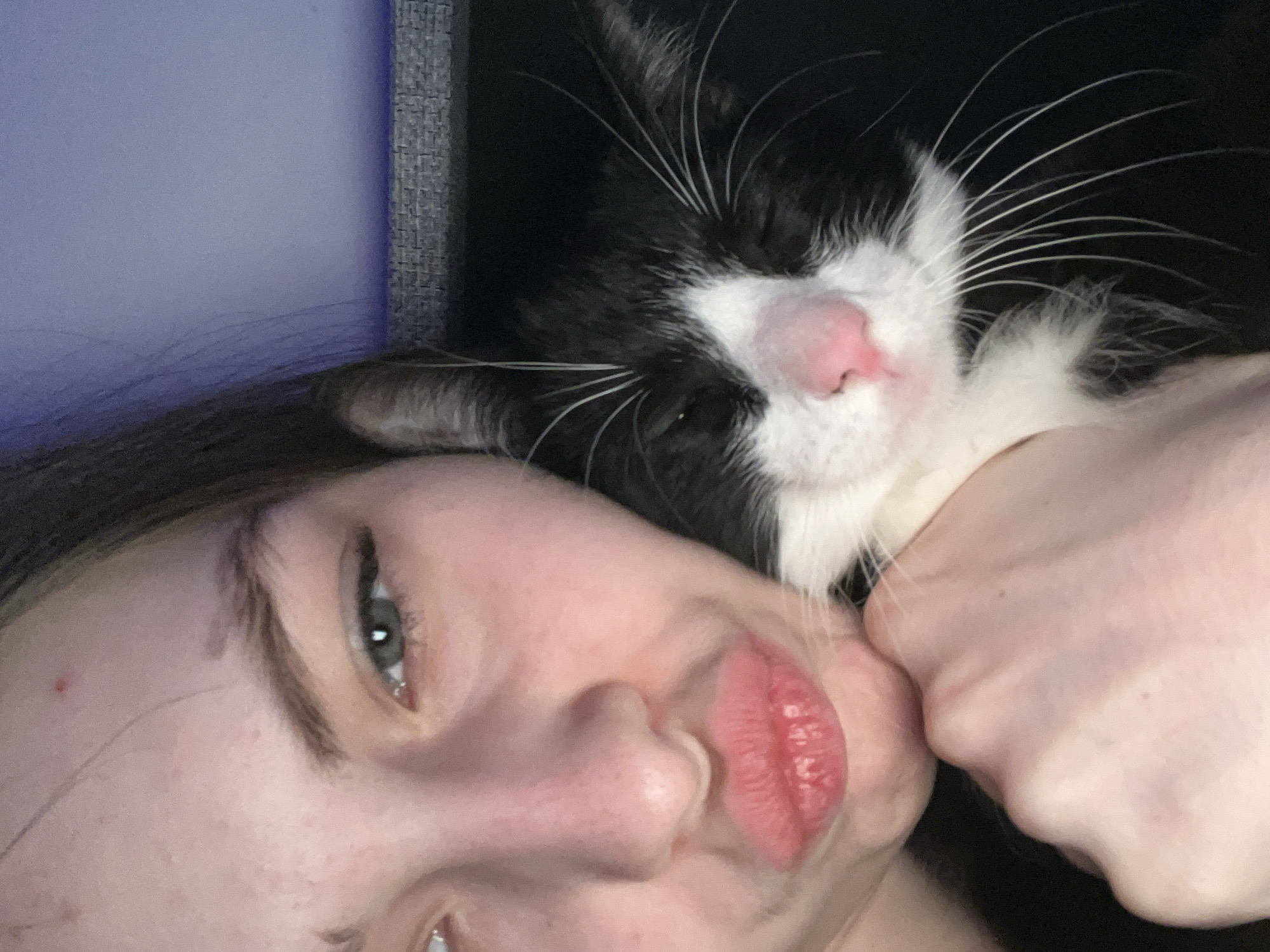 A selfie depicts a person with fair skin lying down and holding a black and white cat. The person has brown hair, light eyes, and pursed lips. The cat, with black fur around the eyes and white fur on the chest, is positioned on the person's arm near their face. The background consists of a dark, textured surface and a lighter blue-grey surface. There is no indication of the location being Saint Petersburg, Russia, or any other specific place.