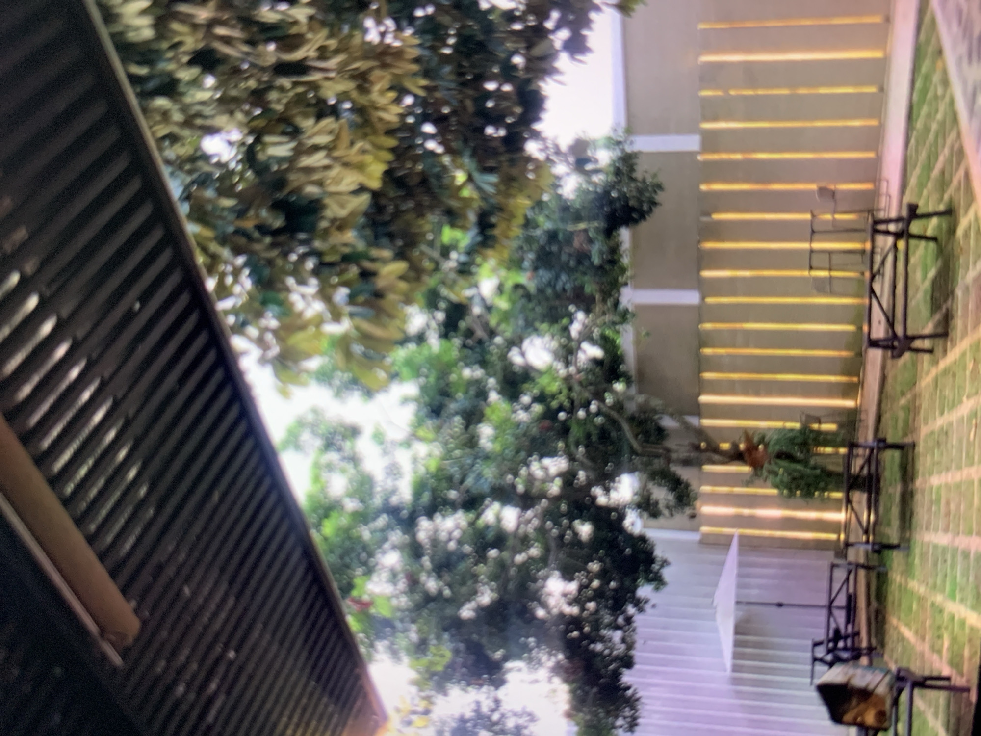 The image shows an outdoor seating area at what appears to be a cafe or restaurant in Ciamis, Indonesia. The scene is dominated by a patterned stone ground, with several dark-colored benches and a picnic table scattered across it. In the background, a wall is illuminated by vertical yellow lights, creating a striking visual effect. Lush green trees frame the scene, with one particularly large tree prominently featured. To the left, a white umbrella provides shade over one of the seating areas, and a small plant hangs near the base of the large tree. The overall atmosphere is relaxed and inviting, suggesting a pleasant place to dine or socialize.