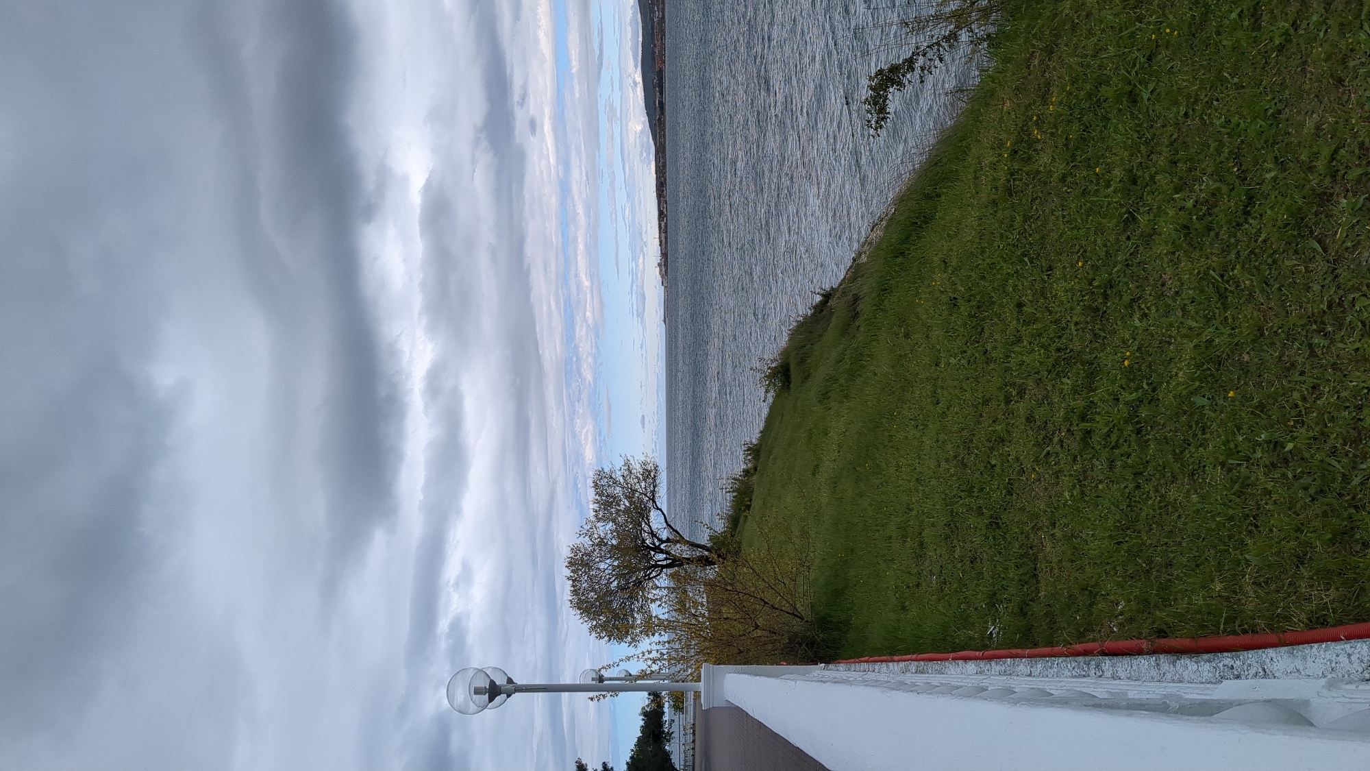 The image depicts a waterfront scene in Gelendzhik, Russia. The view includes a body of water, likely the Black Sea, with a distant shoreline visible. A grassy slope leads down to the water's edge. A tree stands along the slope, appearing to be partially bare. In the foreground, a white railing and a series of lampposts suggest a promenade or walkway. The sky is overcast with heavy clouds.