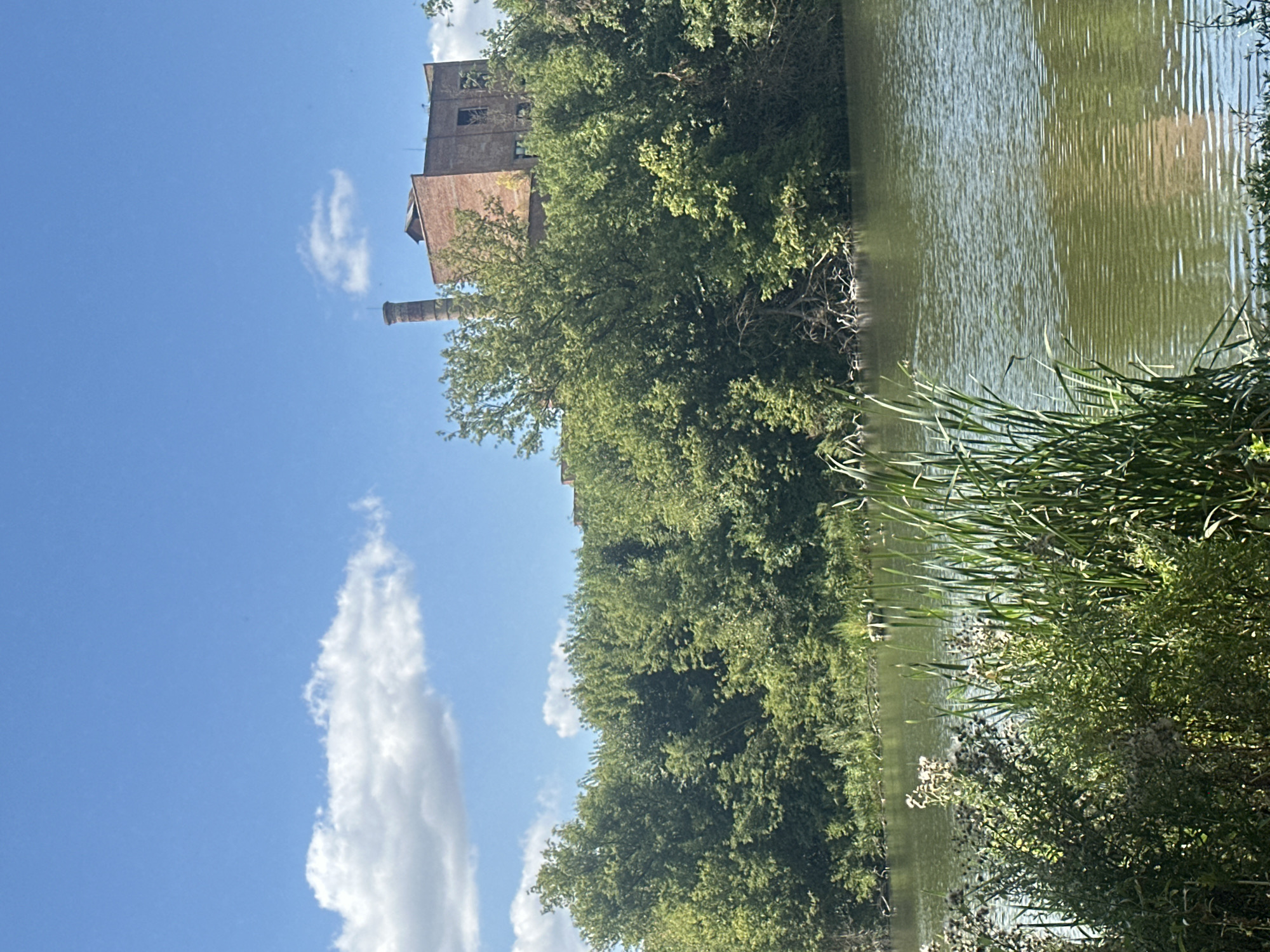 An outdoor, medium shot captures a serene waterscape in Shatava, Ukraine. The foreground is dominated by lush green reeds and wild plants along the water's edge. The middle ground features a tranquil, shimmering body of water with gentle ripples, reflecting the sky and surrounding greenery. In the background, a dense line of trees forms a natural barrier, with an old brick industrial building and its chimney rising above the foliage on a slight incline. The sky above is a vibrant blue, dotted with fluffy white clouds, indicating a clear, bright day. There are no people visible in the image.