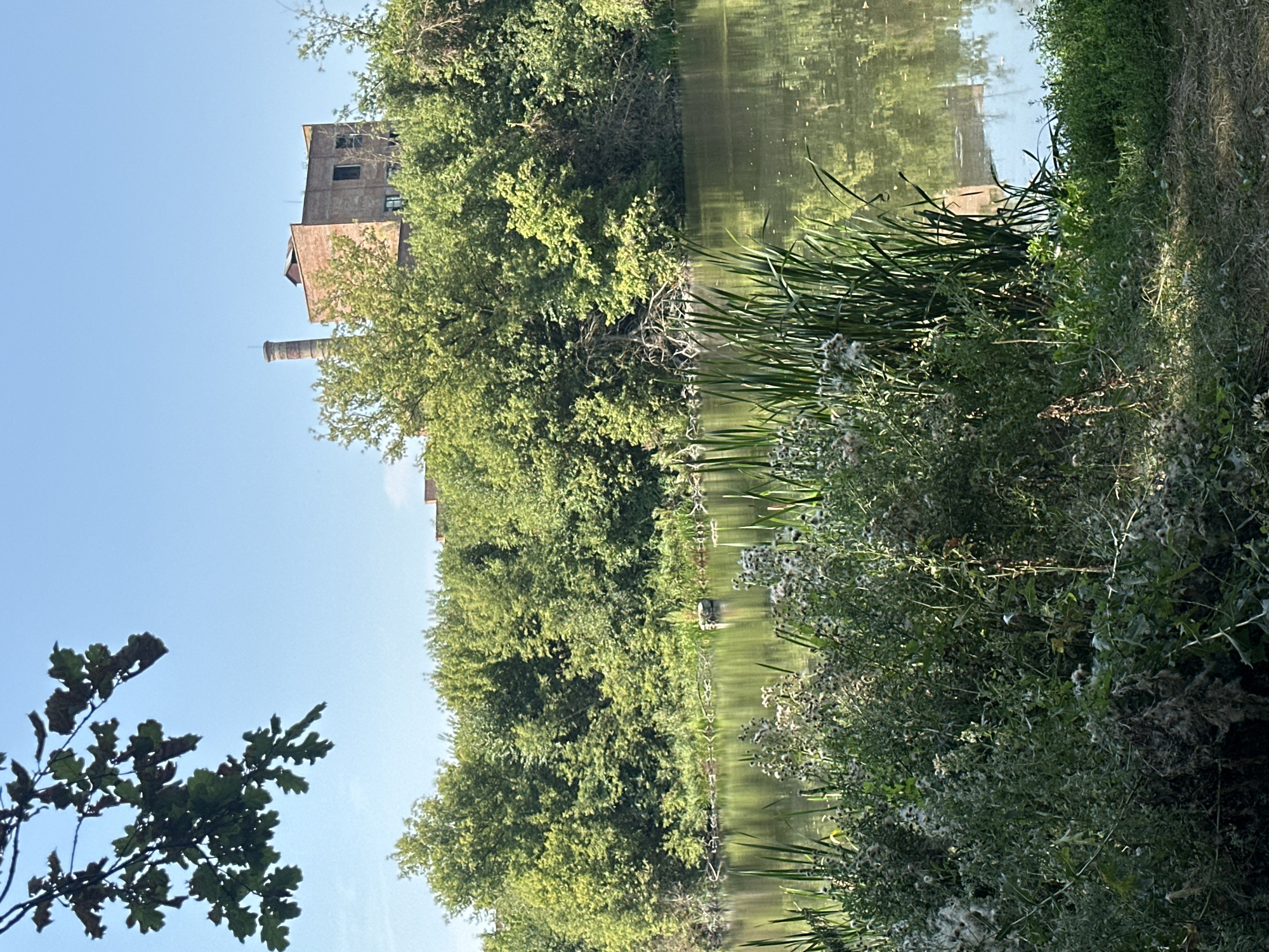 The image depicts a serene natural landscape with an industrial backdrop. In the foreground, lush green vegetation, including tall reeds and flowering plants, lines the edge of a tranquil body of water. The water's surface reflects the surrounding greenery and the clear blue sky. Beyond the vegetation and water, a dense forest of trees forms a verdant backdrop. Peeking above the treeline in the distance is a weathered brick building with a tall, cylindrical chimney, indicative of an industrial past. The overall atmosphere is one of peaceful coexistence between nature and industry, with the natural elements dominating the scene. The location is the Shatava, Ukraine.