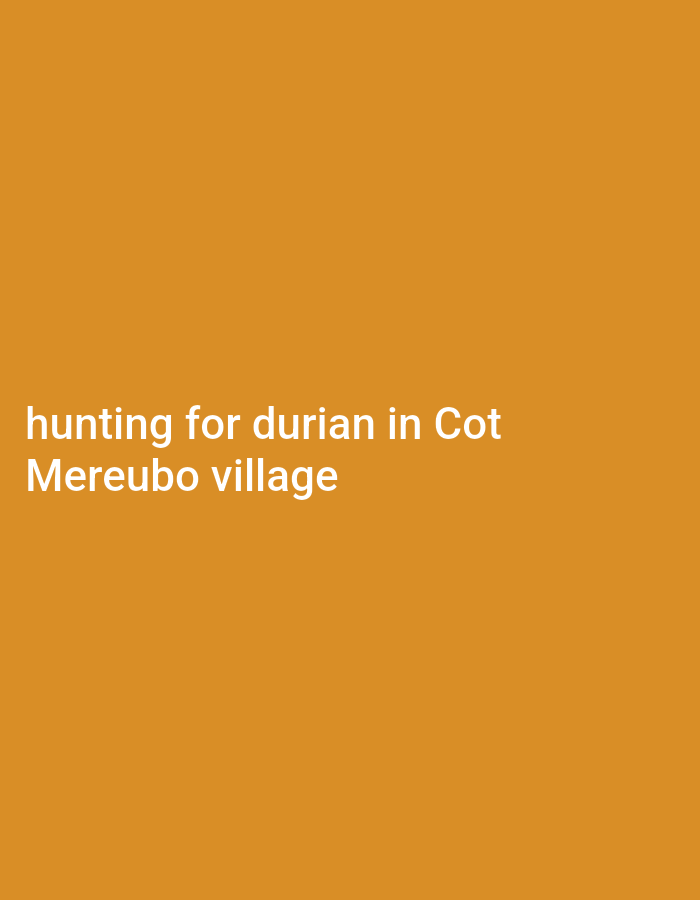 The image shows white text on an orange background. The text reads "hunting for durian in Cot Mereubo village". There are no people, subjects, objects, or actions depicted in the image. The environment is a plain orange background. The text suggests a location in the city of Cotmerbo, Indonesia, where people might be hunting for durian.
