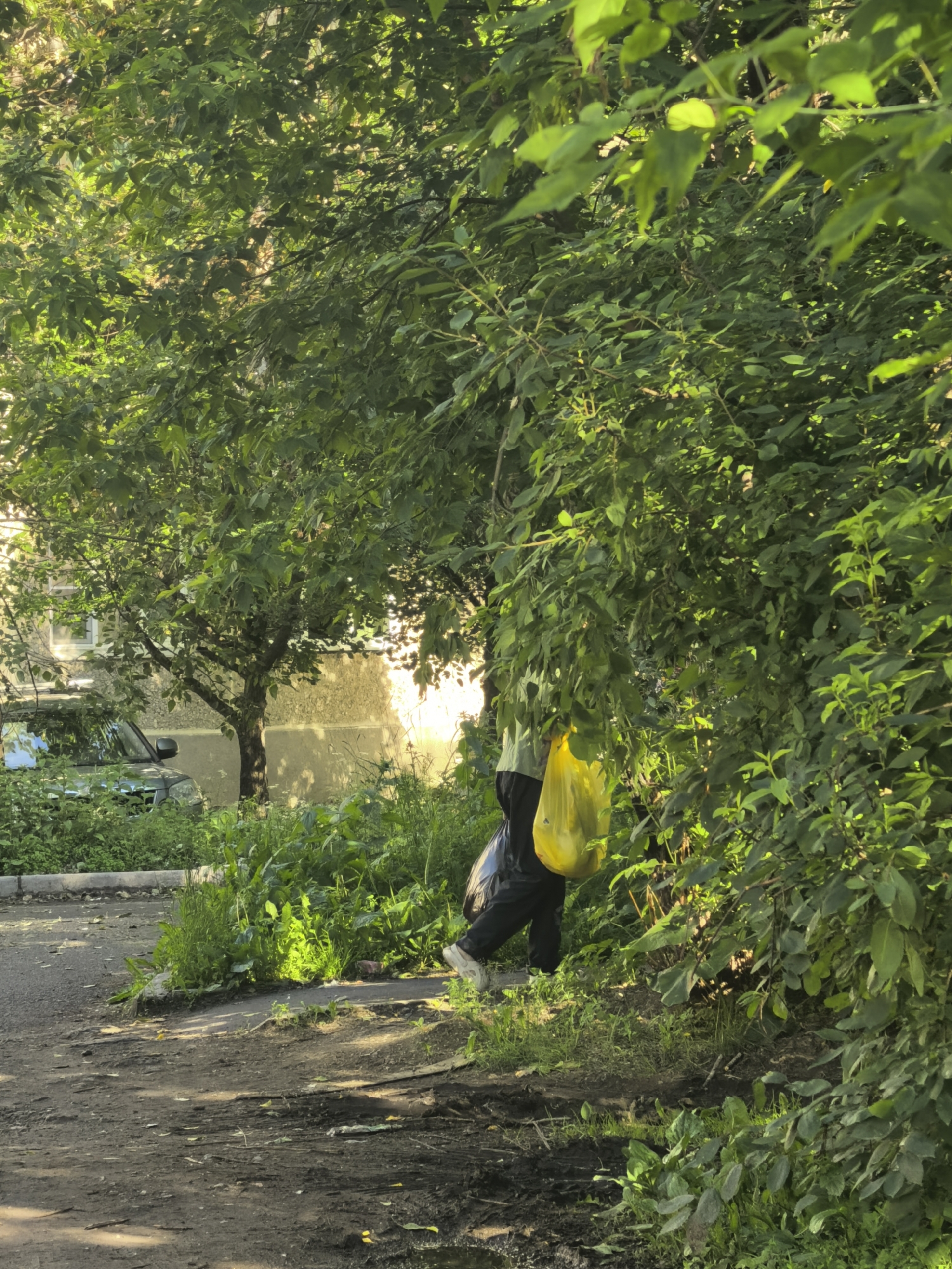 A person walks along a dirt path next to a street, partially obscured by lush green foliage. The person is wearing dark pants and white shoes and carries a bright yellow plastic bag in their right hand. The bag appears to be full. A black plastic bag hangs from their left hand. The setting suggests an outdoor, possibly urban or suburban environment, with dense vegetation bordering a paved area and a building visible in the background. Sunlight filters through the leaves, creating dappled lighting across the scene, indicating it is likely daytime, possibly late afternoon or early morning given the angle of the light. The overall atmosphere is serene, with the vibrant green of the plants dominating the frame. There is no visible text in the image.