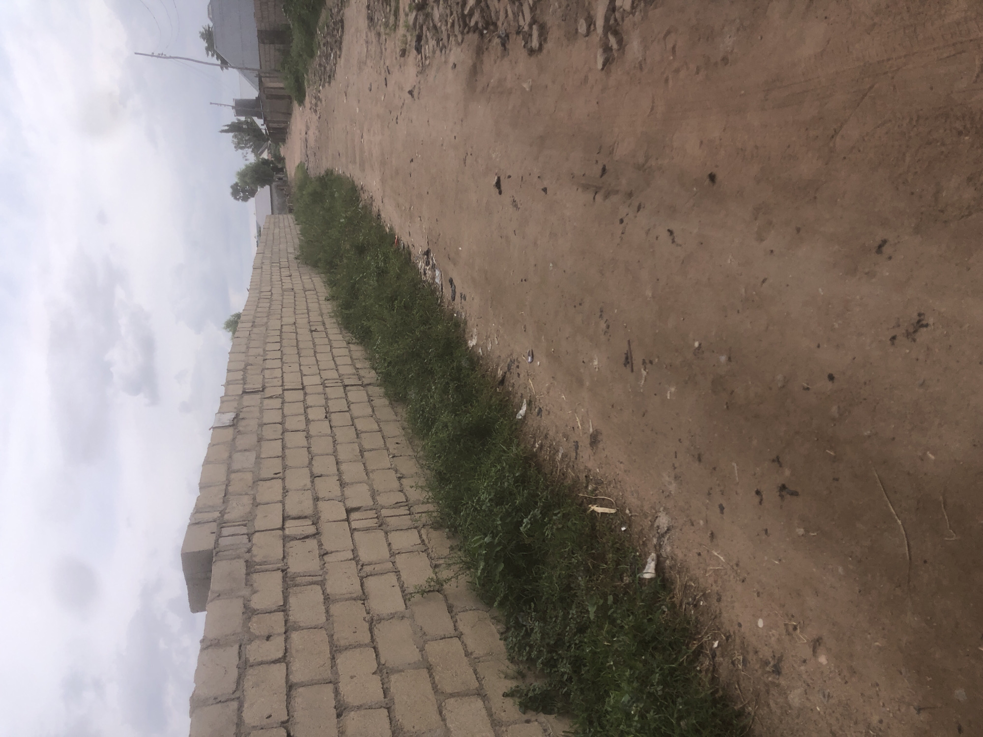 The image depicts a dirt road in Jalingo, Nigeria, bordered on the left by a long, light-colored brick wall. The wall appears to be under construction or unfinished, with some bricks unevenly placed. To the right of the wall, there is a strip of green vegetation, with some scattered litter. The road itself is composed of reddish-brown dirt and shows signs of wear, with tire tracks visible in some areas. The right side of the road is rougher, with loose stones and debris. In the distance, a few buildings and trees are visible under an overcast sky. The overall scene suggests a rural or semi-urban setting in Jalingo.