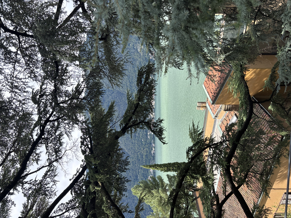 The image depicts an elevated, downward-looking view of Lake Como, specifically from the city of Nesso, Italy. The foreground is heavily framed by dark green, evergreen tree branches and needles, obscuring portions of the scene. Below these branches, several buildings with pitched terracotta-tiled roofs and ochre-colored walls are visible, featuring multiple stone chimneys. In the midground, the wide expanse of Lake Como, characterized by its distinct greenish-blue water, stretches horizontally. Along the far shoreline of the lake, distant structures of a settlement are discernible. Rising behind the lake and extending into the background are steep, densely forested mountains. The sky, visible through gaps in the foliage, is overcast with a light gray tone. No people or overt actions are visible.