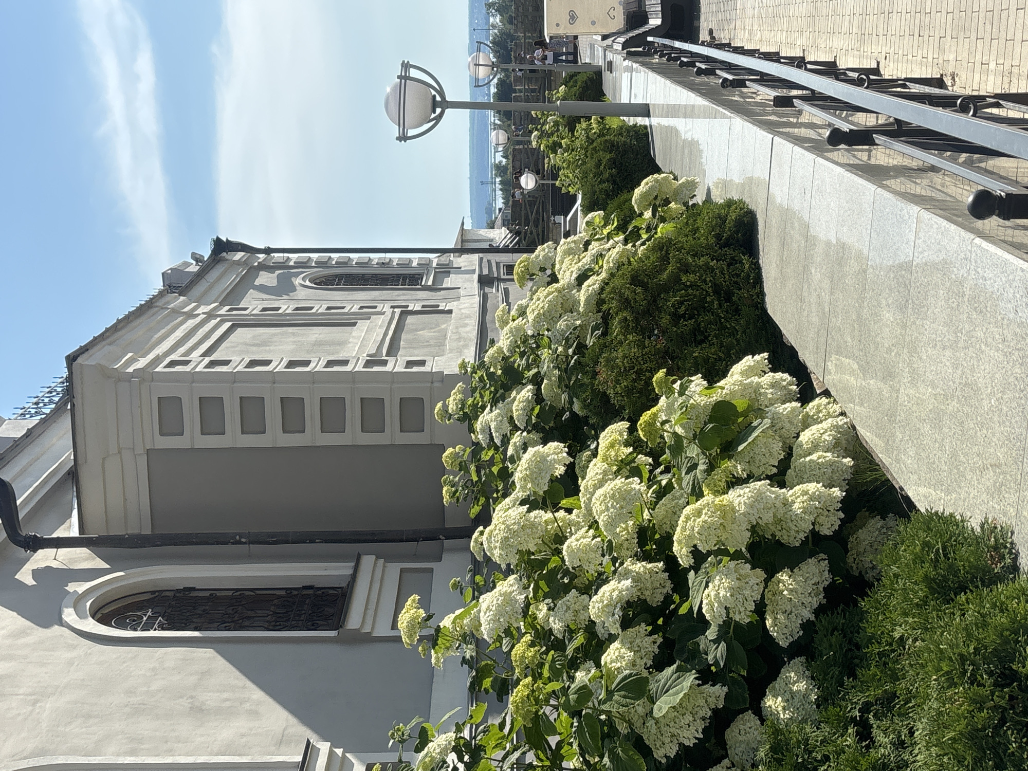 The image depicts the exterior of a building, likely a church or historical site, in Kazan, Russia. The building features light grey walls with ornate arched windows featuring dark metal grates. Decorative rectangular indentations adorn the upper section of the building's facade. In the foreground, lush green bushes and abundant clusters of white hydrangeas bloom, creating a vibrant contrast with the architecture. A paved walkway runs alongside a low stone wall, bordered by a black metal railing. Several lampposts with spherical lights are visible along the walkway, and in the background, distant figures can be seen walking and a body of water is visible under a clear blue sky with scattered clouds. The overall scene suggests a well-maintained public space, possibly a park or promenade adjacent to a significant landmark.