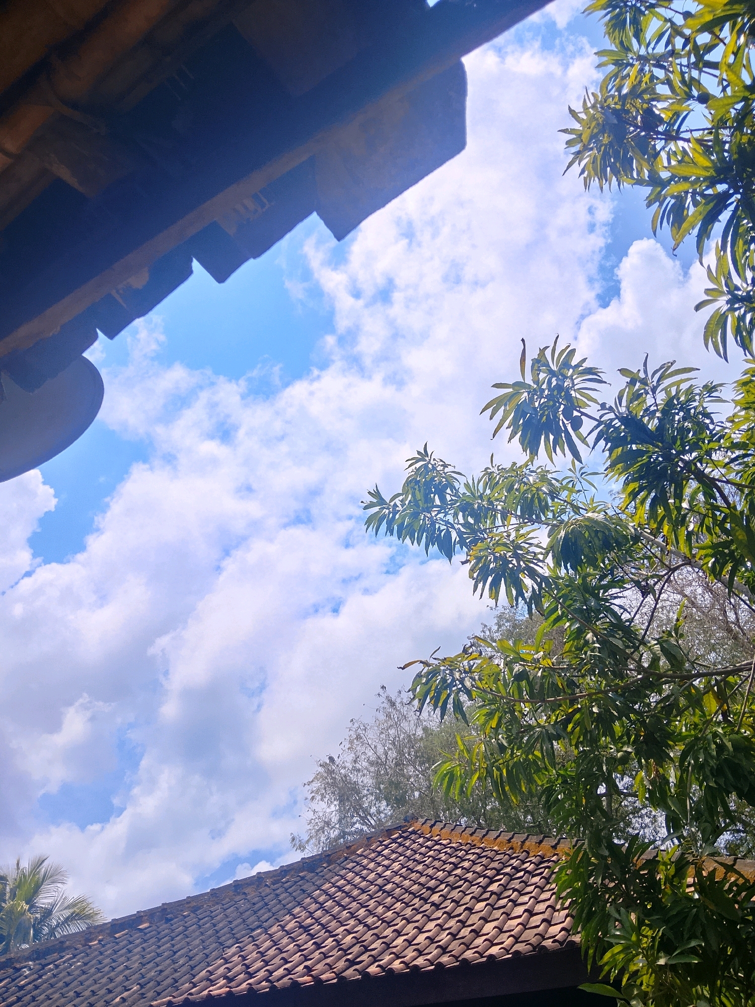 The image shows an angled view of a tiled roof, some green foliage and trees, and a bright blue sky with white clouds. The roof tiles are reddish-brown and appear to be in good condition, with some moss or dirt visible. A portion of a wooden structure is visible in the upper left corner, casting a shadow on the sky. The foliage is lush and green, with the leaves of a tree prominent in the upper right quadrant of the image. The sky is a vibrant blue, dotted with fluffy white clouds. There is no indication of people or any specific location in a city.