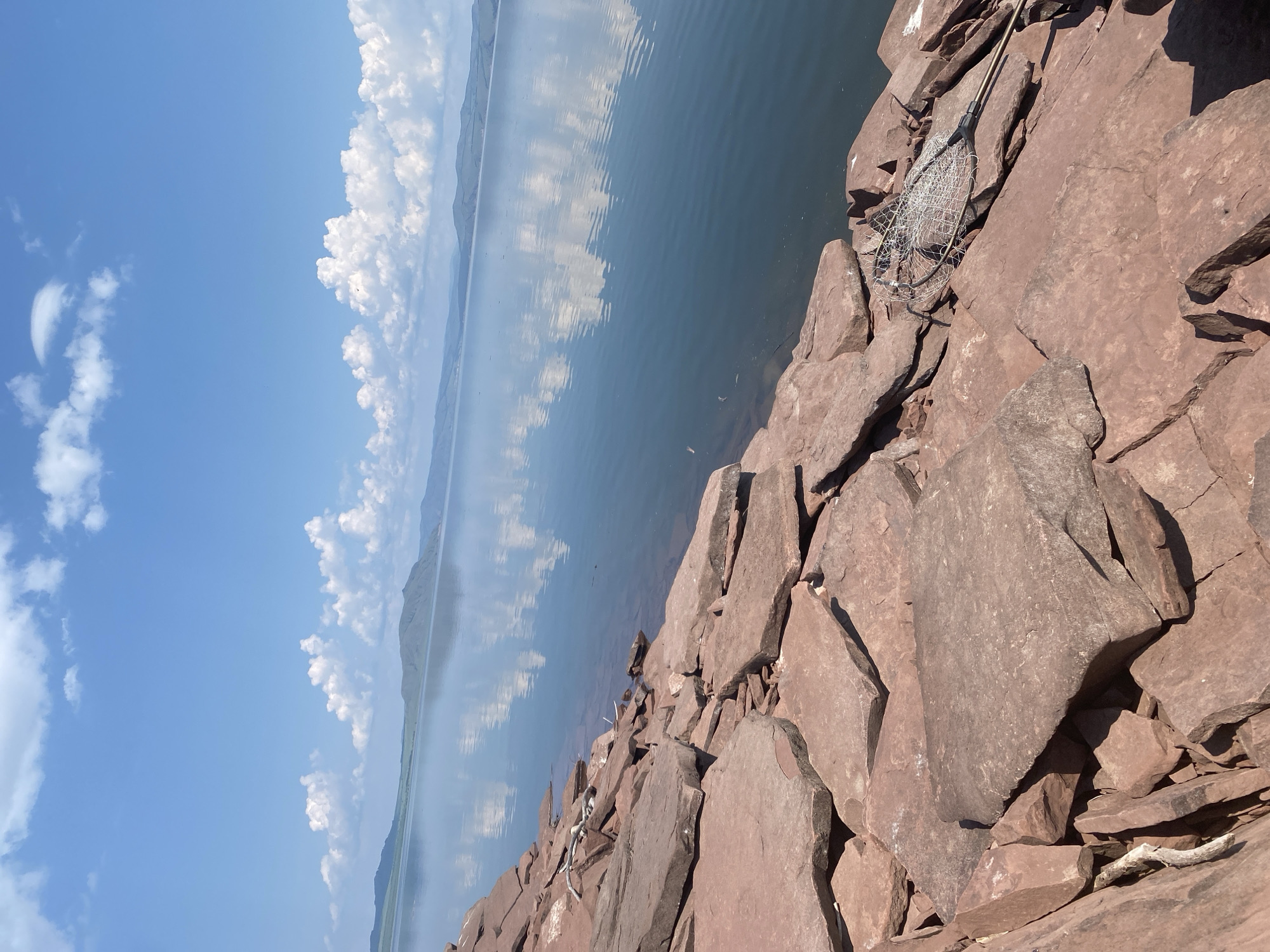 A serene lake scene is depicted on a clear, sunny day, with a vast expanse of calm water reflecting the blue sky and scattered white clouds. In the foreground, a rocky shoreline composed of large, flat, reddish-brown stones dominates the lower half of the image. A fishing net rests on the rocks near the water's edge. The background features rolling hills covered in green vegetation, stretching towards the horizon. The overall impression is one of natural tranquility. This scene could be located in or around Ust'-Erba, Russia, a settlement known for its natural landscapes.