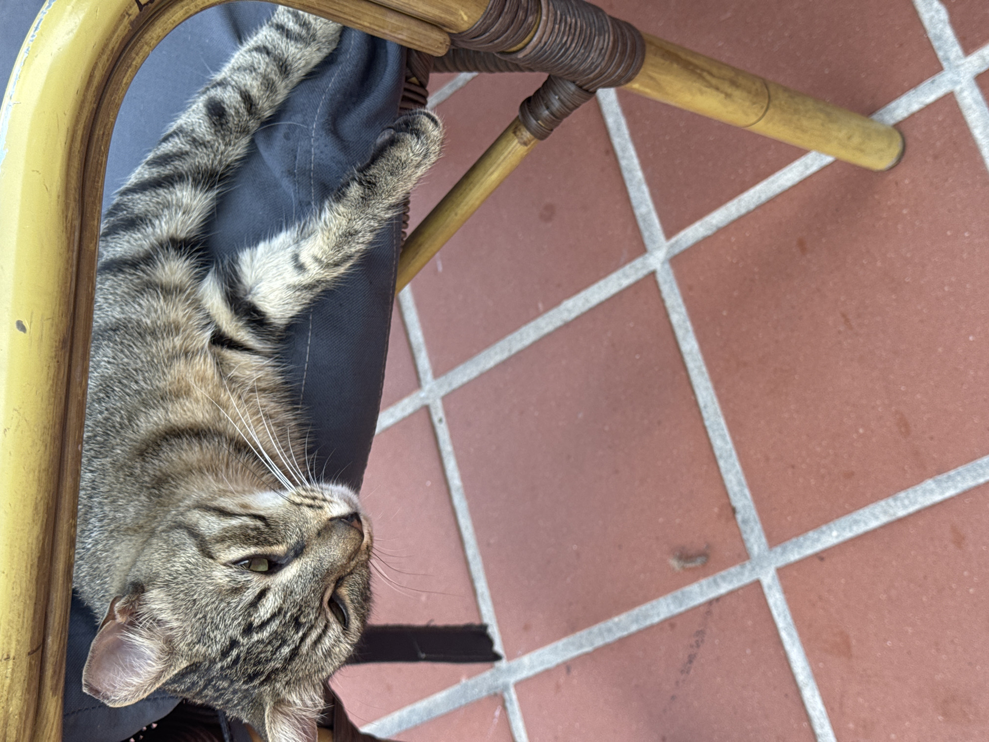 A tabby cat is lying on a dark grey cushion, draped over the back of a yellow-painted bamboo chair. The cat's body extends horizontally across the frame, with its head facing left and its tail and hind legs extending to the right. The cat has grey and black stripes, and its eyes are partially closed. The chair has bamboo legs wrapped with dark brown twine. The background consists of terracotta floor tiles with white grout lines. The scene is outdoors, likely in Fethiye, Turkey, as suggested by the presence of tiled outdoor flooring common in the region.