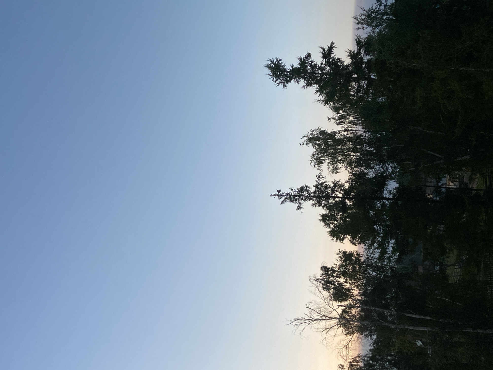 The image depicts a twilight sky above a silhouetted line of trees. The sky transitions from a pale blue at the top to a lighter, warmer hue near the horizon. The trees are dark and mostly indistinguishable, with the exception of a few that show some branch structure. One prominent tree on the right has a distinctive, somewhat spiky silhouette. There are hints of structures or buildings peeking through the trees in the middle ground, suggesting a rural or semi-rural setting. The overall impression is of a calm, natural landscape at dusk. There is no indication of the city of Кюёрелях, Russia, within the visual information provided in the image.