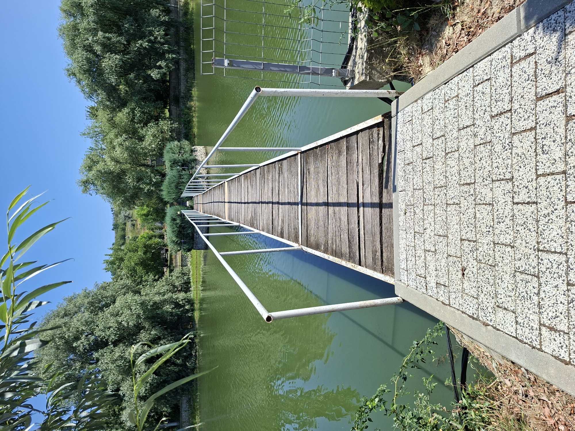 The image shows a wooden pier extending over a calm, green body of water. The pier has white metal railings and a paved walkway at its entrance. Lush green trees and bushes surround the water, and a clear blue sky is visible overhead. The scene suggests a peaceful outdoor setting, possibly a park or a recreational area. The question of its location in the city of Costești, Moldova is not directly supported by any visual cues within the image itself.