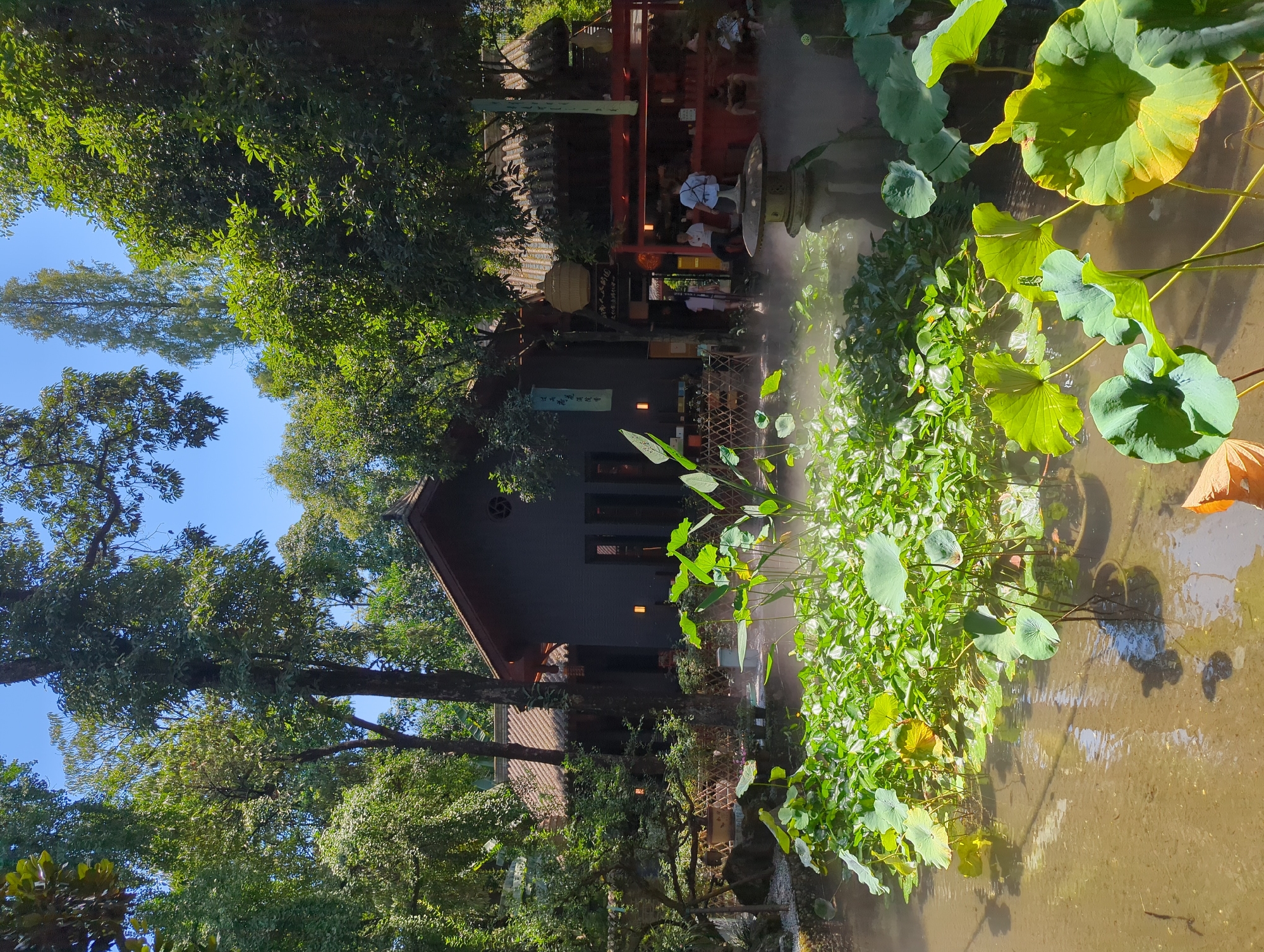 The image depicts a tranquil garden scene, likely in Qingyang District, China, characterized by lush greenery and a pond filled with lotus plants. A traditional Chinese-style building with a dark exterior and a tiled roof stands behind the pond. Several people are visible in the background, some standing and others seated, suggesting this may be a public space or a restaurant. Mist or steam rises from the pond, creating an ethereal atmosphere. A stone lantern is positioned in the foreground of the pond, adding to the traditional aesthetic. The overall impression is one of serenity and natural beauty, enhanced by the architectural elements and the presence of water and plants.