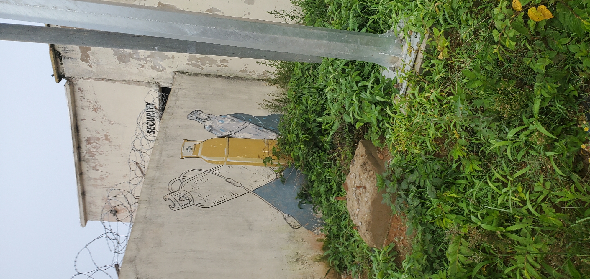 The image depicts an outdoor scene adjacent to a wall covered in peeling paint. The wall features a mural of three gas cylinders, one yellow and two with lighter shades, with one cylinder also showing a hose attachment. To the left of the mural, the word "SECURITY" is stenciled vertically on the wall, partially obscured by barbed wire.
A metallic pole, possibly part of a fence or structure, runs vertically through the frame, with a horizontal beam at the top. The area surrounding the wall is overgrown with lush green vegetation, including tall grass and leafy plants. A rough, weathered concrete block with exposed metal rods is visible amongst the foliage.
The lighting suggests it is daytime, with an overcast sky. There are no clear indicators of a specific event taking place, but the presence of barbed wire and the "SECURITY" stencil imply a secure or restricted area. The overall impression is one of a slightly neglected or overgrown perimeter.
