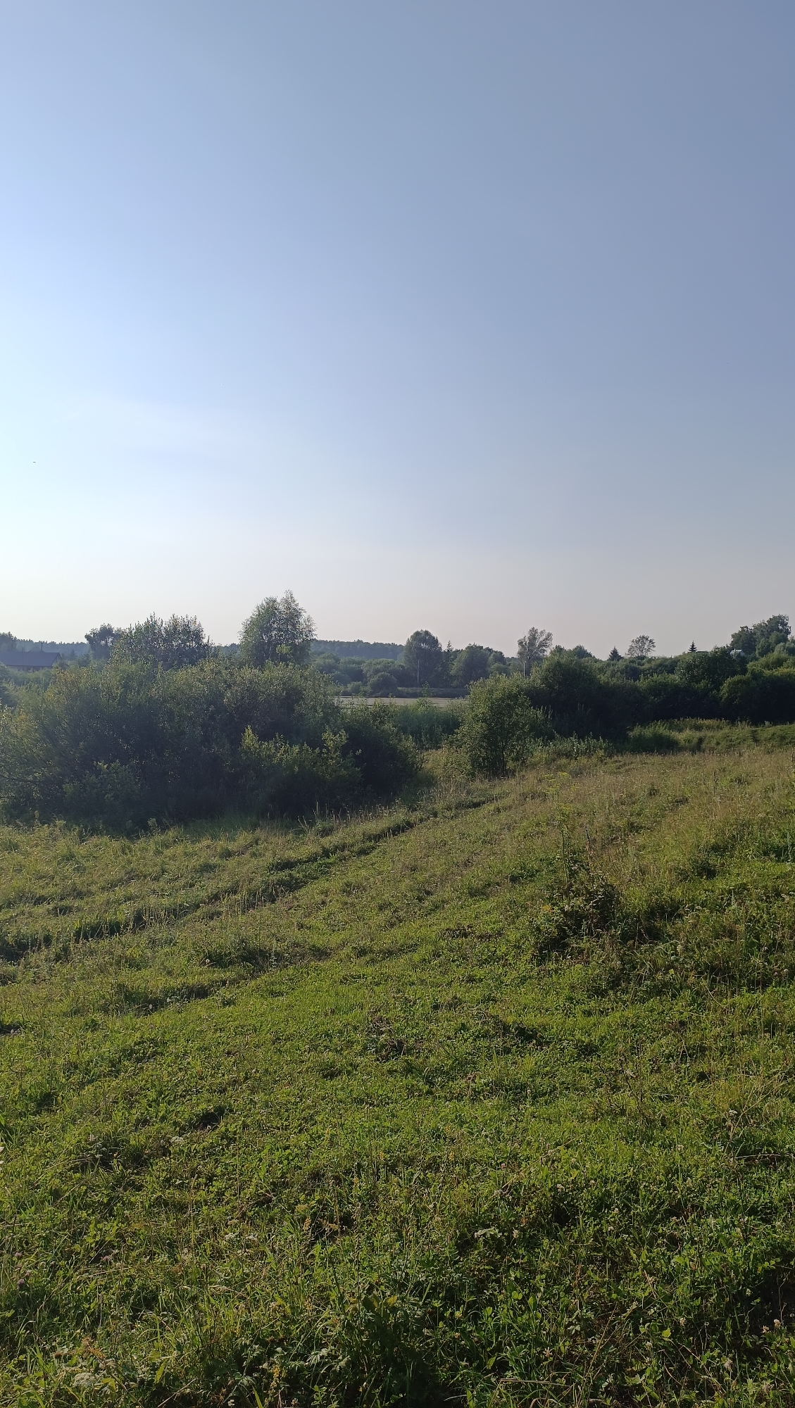 An outdoor, vertical, wide-angle shot captures a rural landscape under a clear, pale blue sky. The foreground consists of a green, grassy slope with tire tracks visible in the grass. In the midground, a dense thicket of green bushes and trees forms a natural barrier. Beyond this, a treeline stretches across the horizon, with a few scattered buildings peeking through. The overall impression is one of a peaceful, natural setting. The image does not contain any people, animals, or specific man-made structures that would allow for precise location identification within Karsha, Russia.